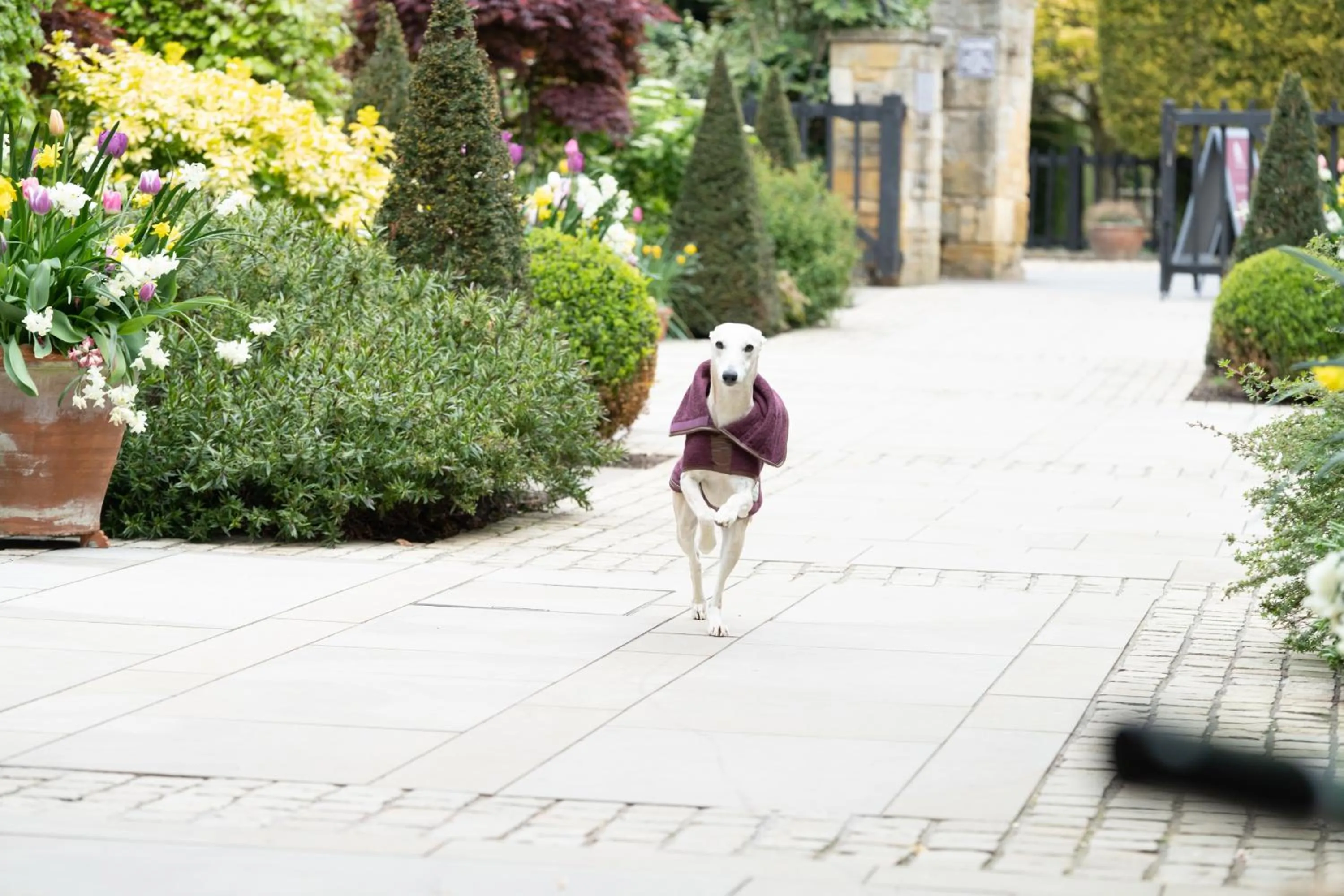 Garden in The Lygon Arms - an Iconic Luxury Hotel