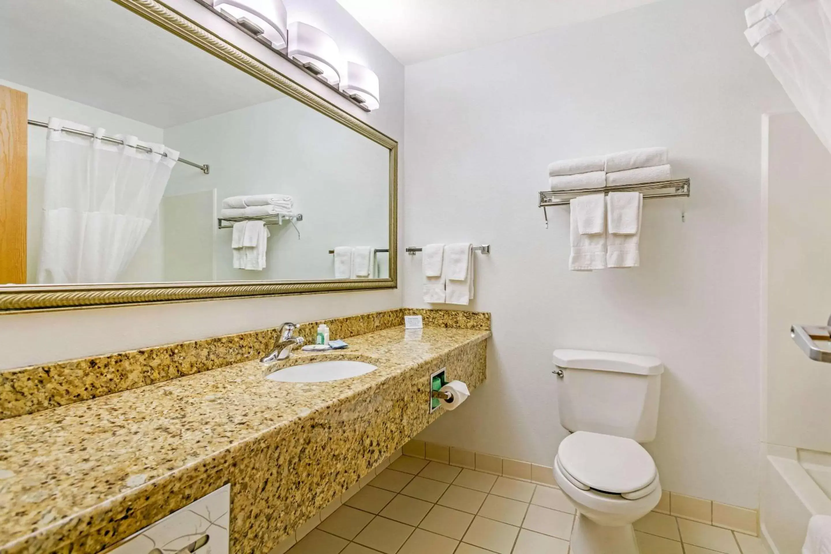 Bathroom in Quality Inn near Monument Health Rapid City Hospital