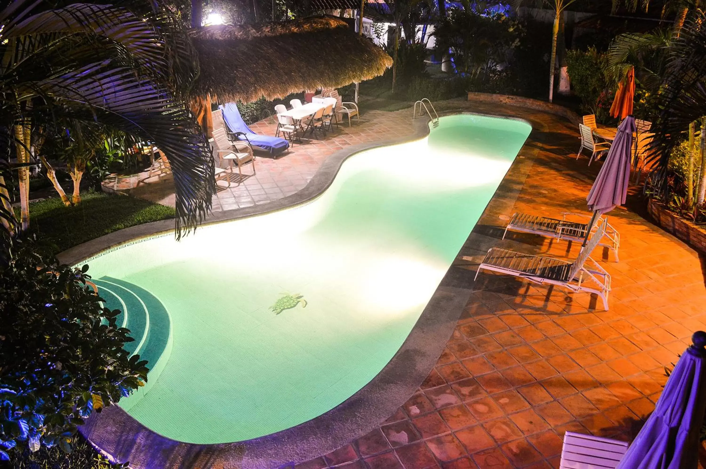 Night, Pool View in Hotel Casamar Suites