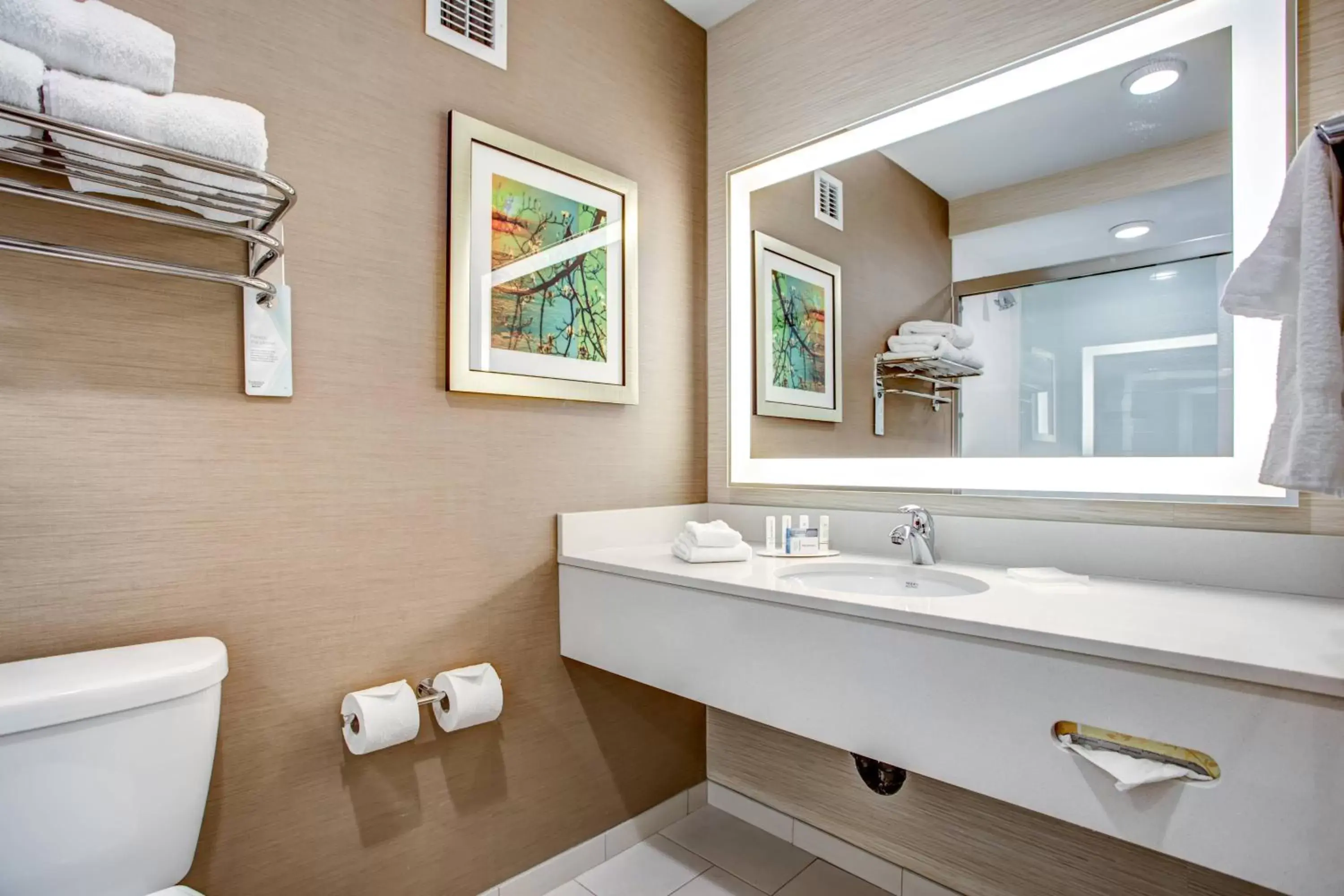 Bathroom in Fairfield Inn & Suites by Marriott Springfield Holyoke