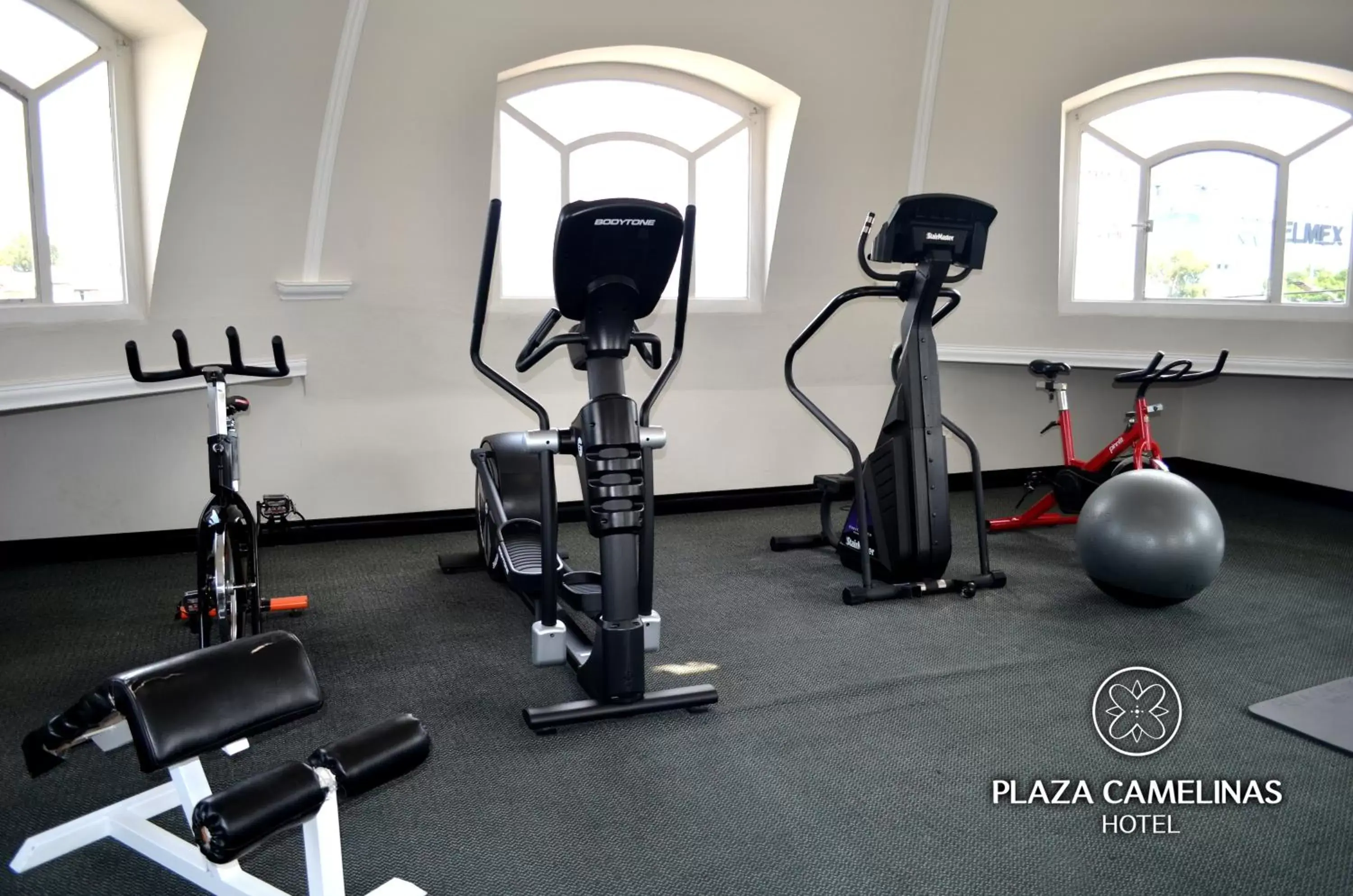 Fitness centre/facilities, Fitness Center/Facilities in Plaza Camelinas Hotel