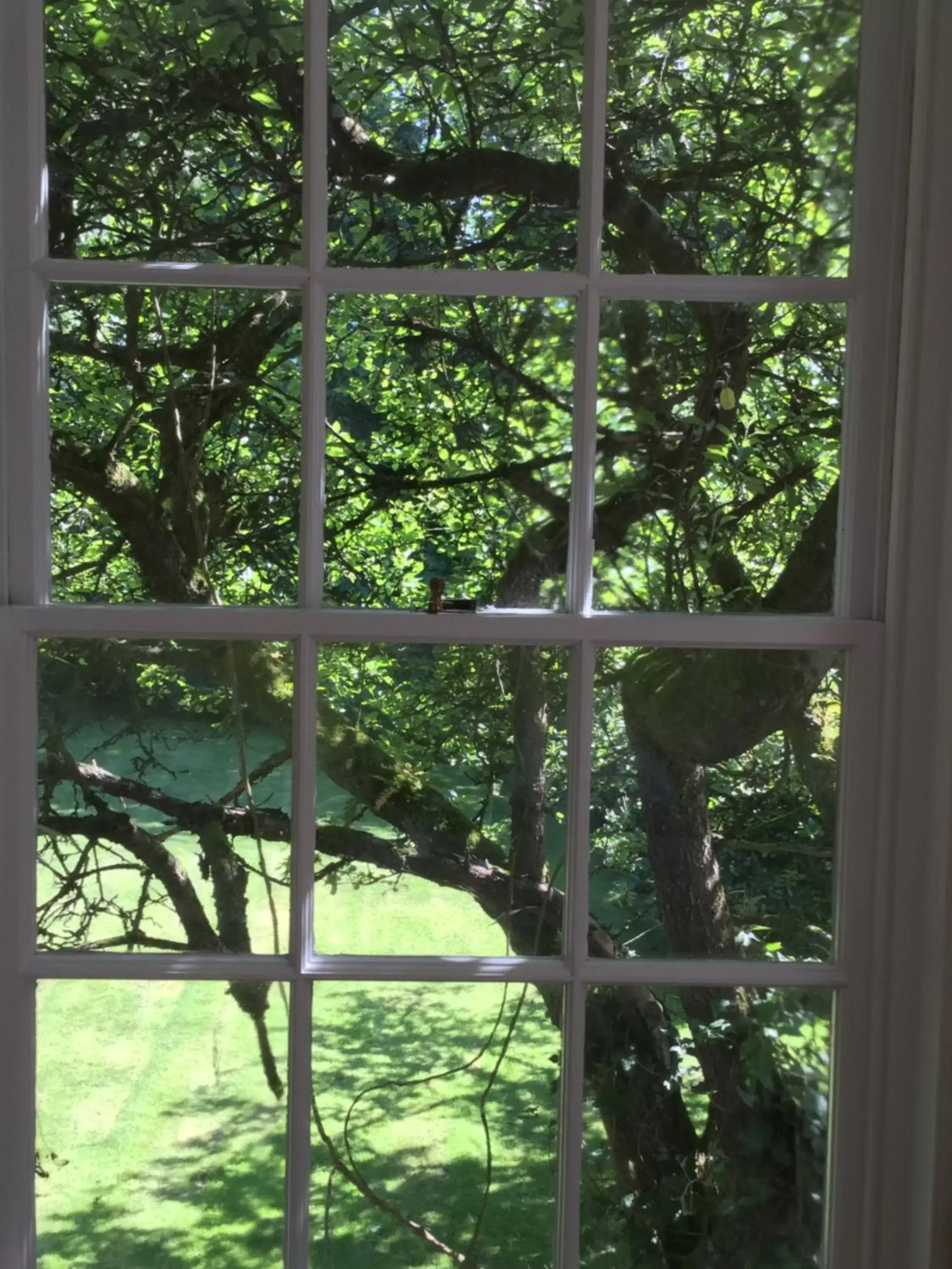View (from property/room) in Ballymote Country House