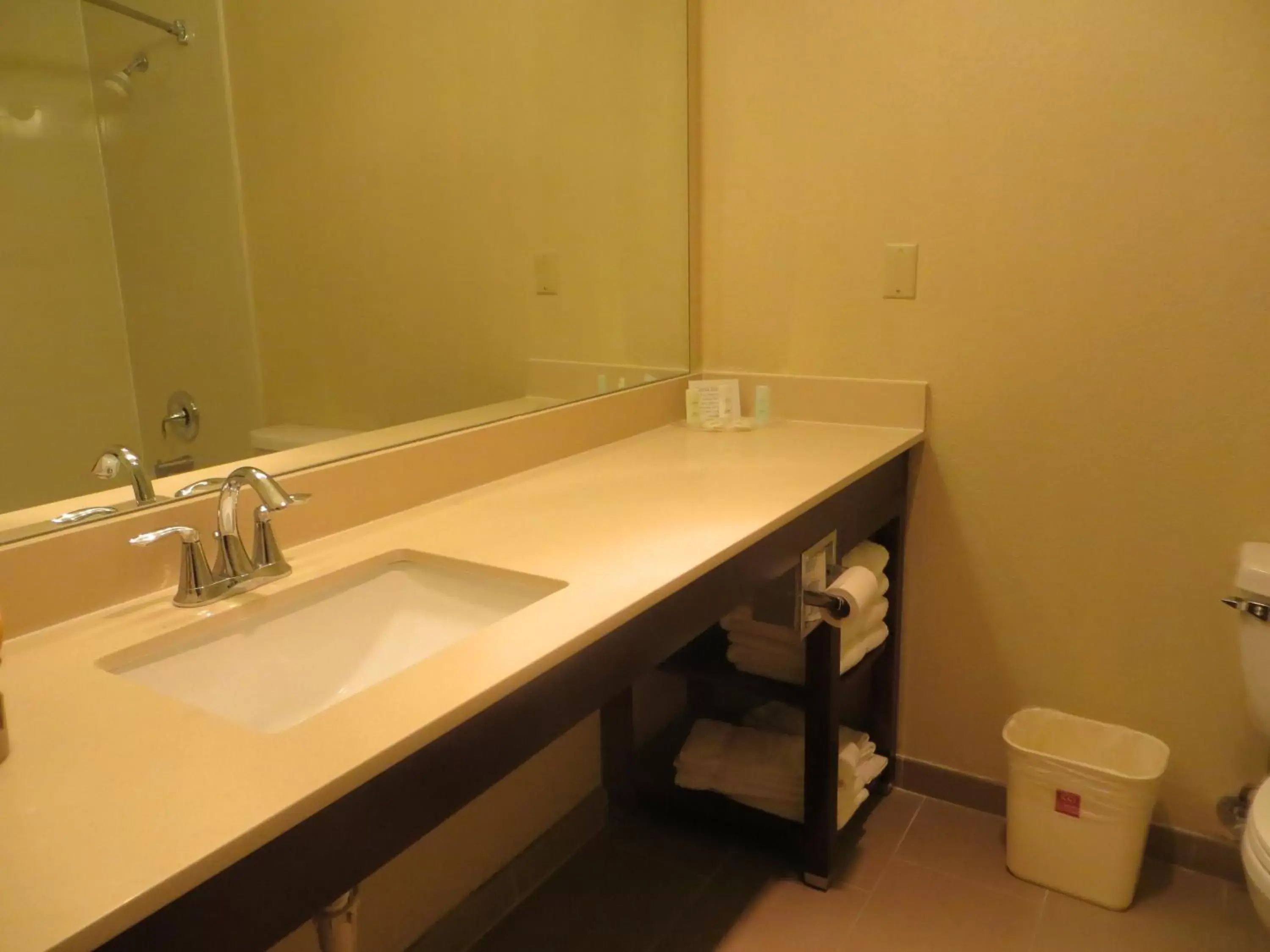 Other, Bathroom in Comfort Suites New Braunfels