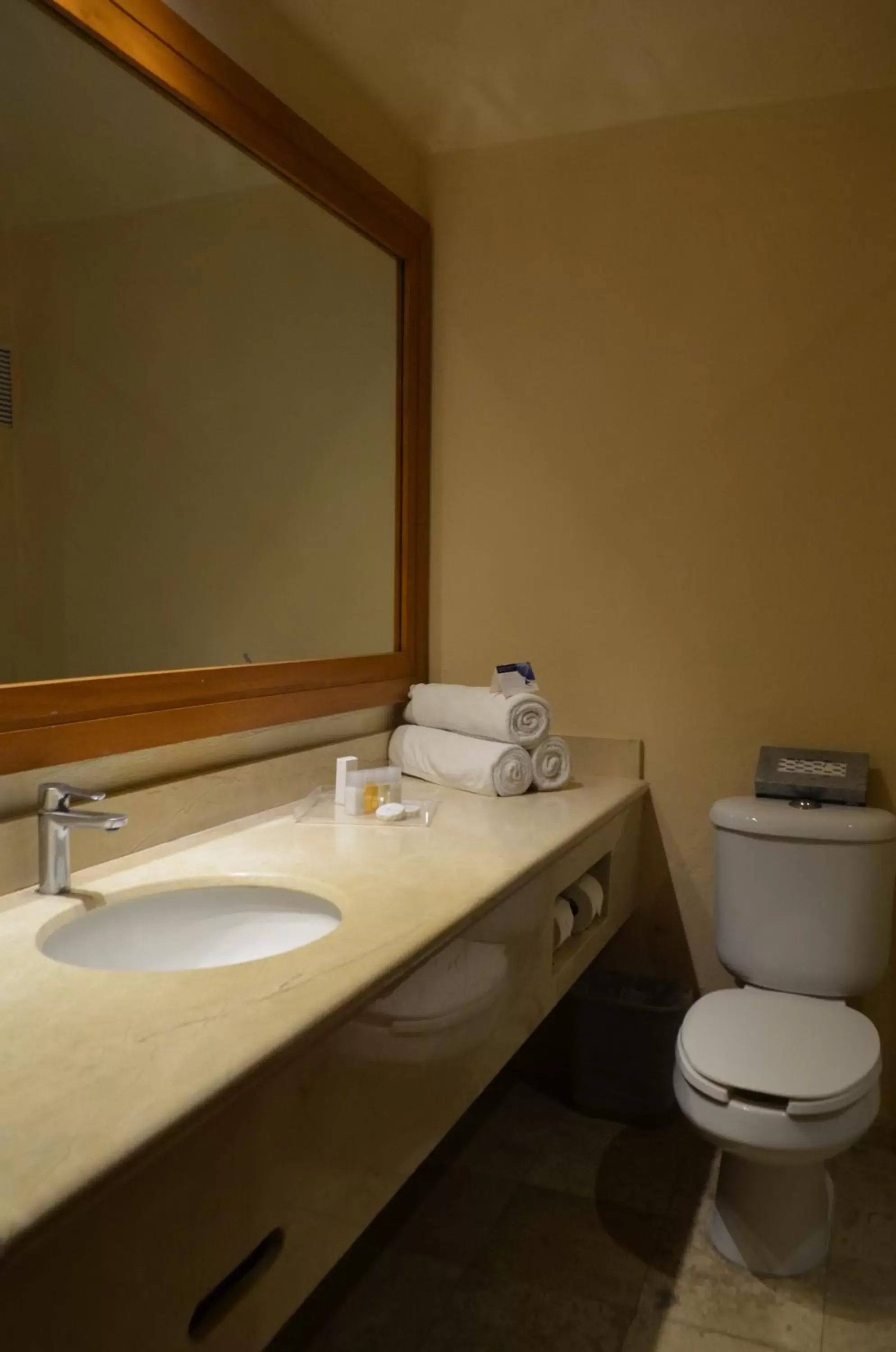 Bathroom in Real de Chapala Bathroom in Real de Chapala