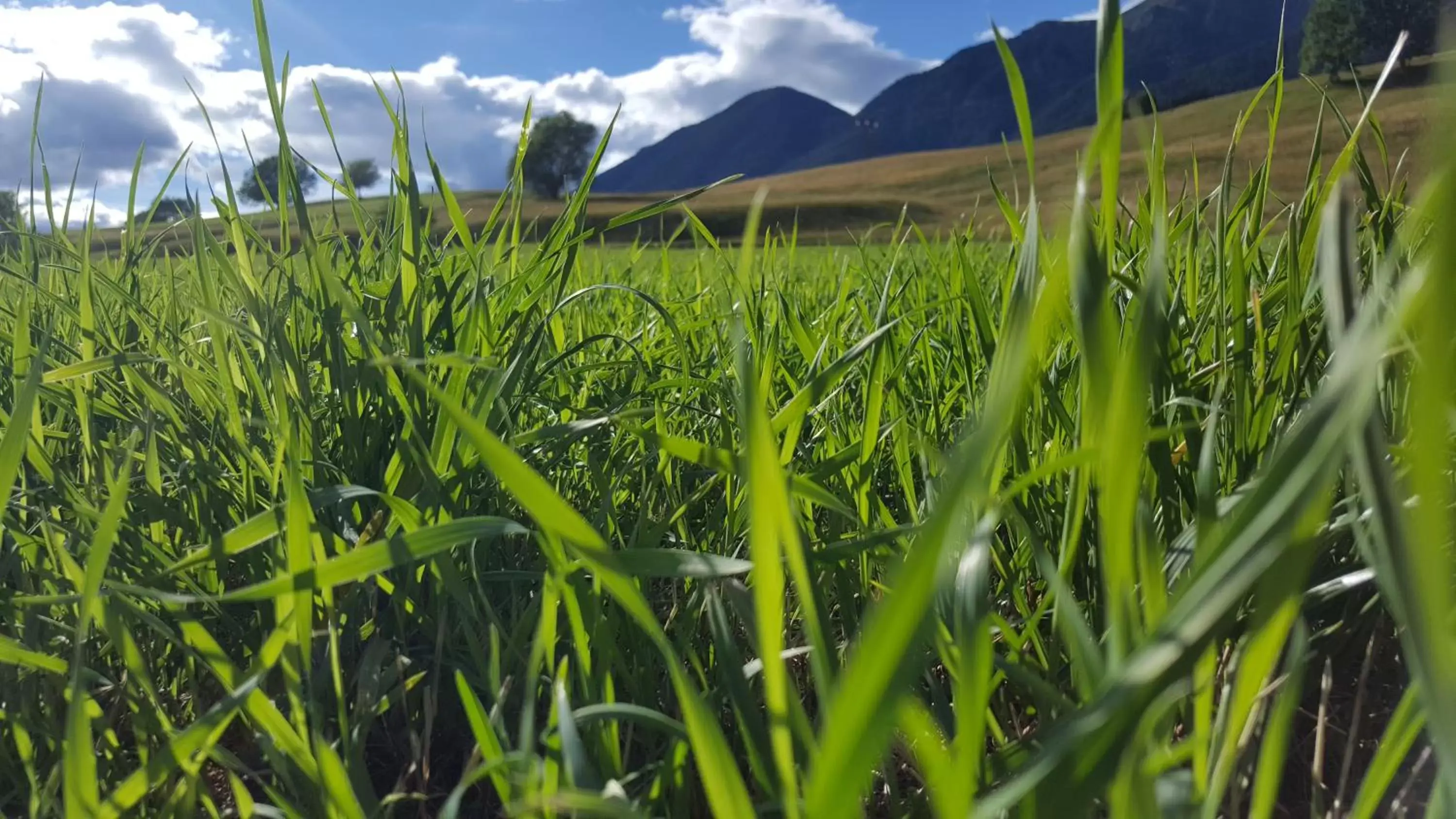 Natural landscape in Hotel La Stua