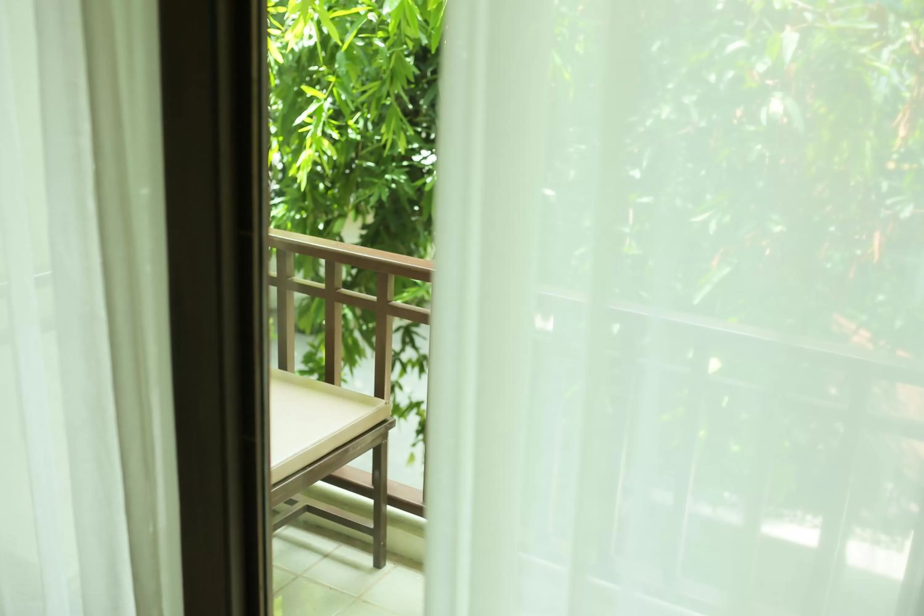 Garden in The Mantrini Chiang Rai