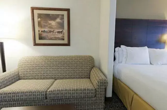 Seating area, Bed in Holiday Inn Express Hotel & Suites Lander by IHG Seating area, Bed in Holiday Inn Express Hotel & Suites Lander by IHG