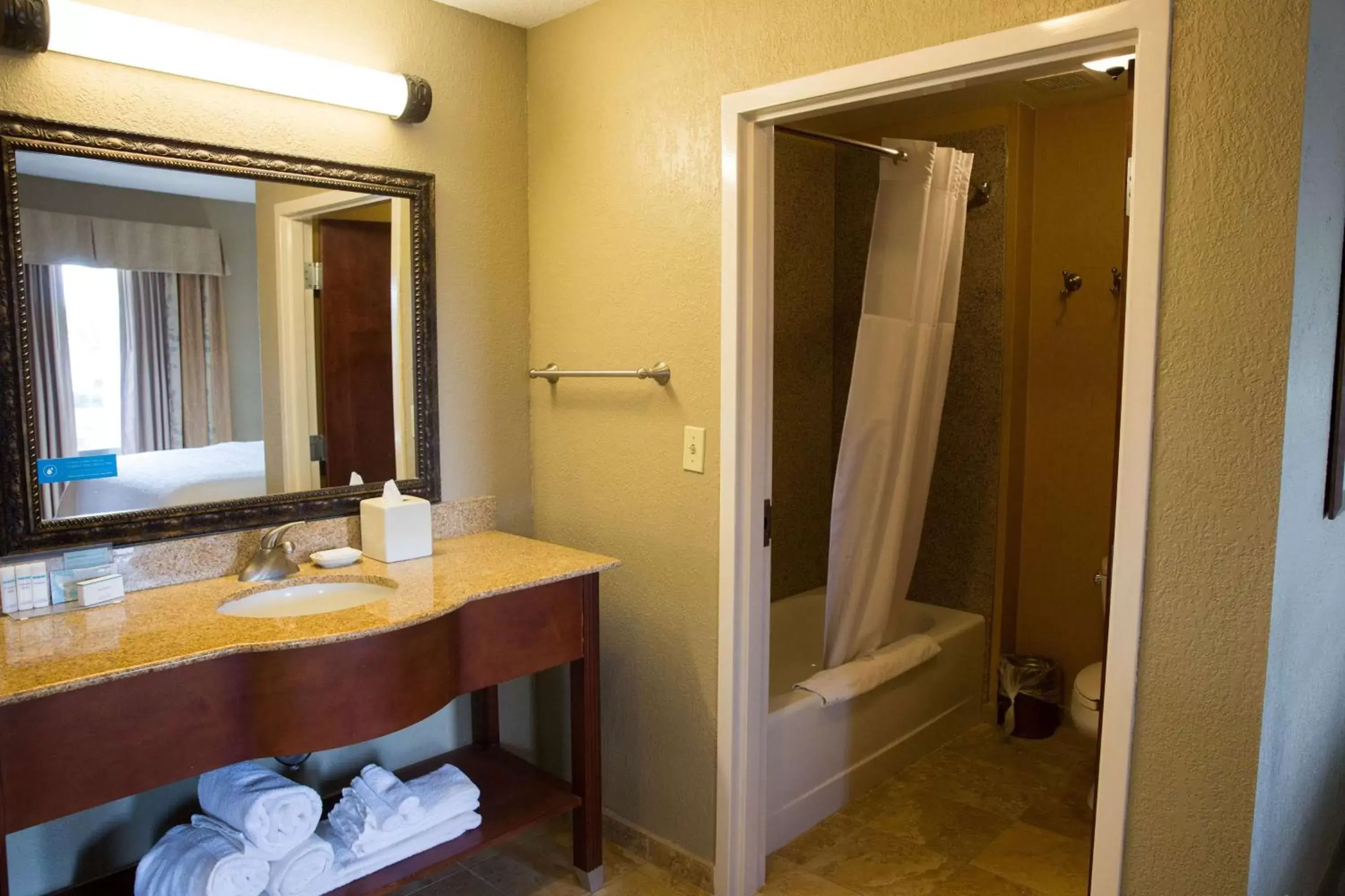 Bathroom in Hampton Inn & Suites Grenada