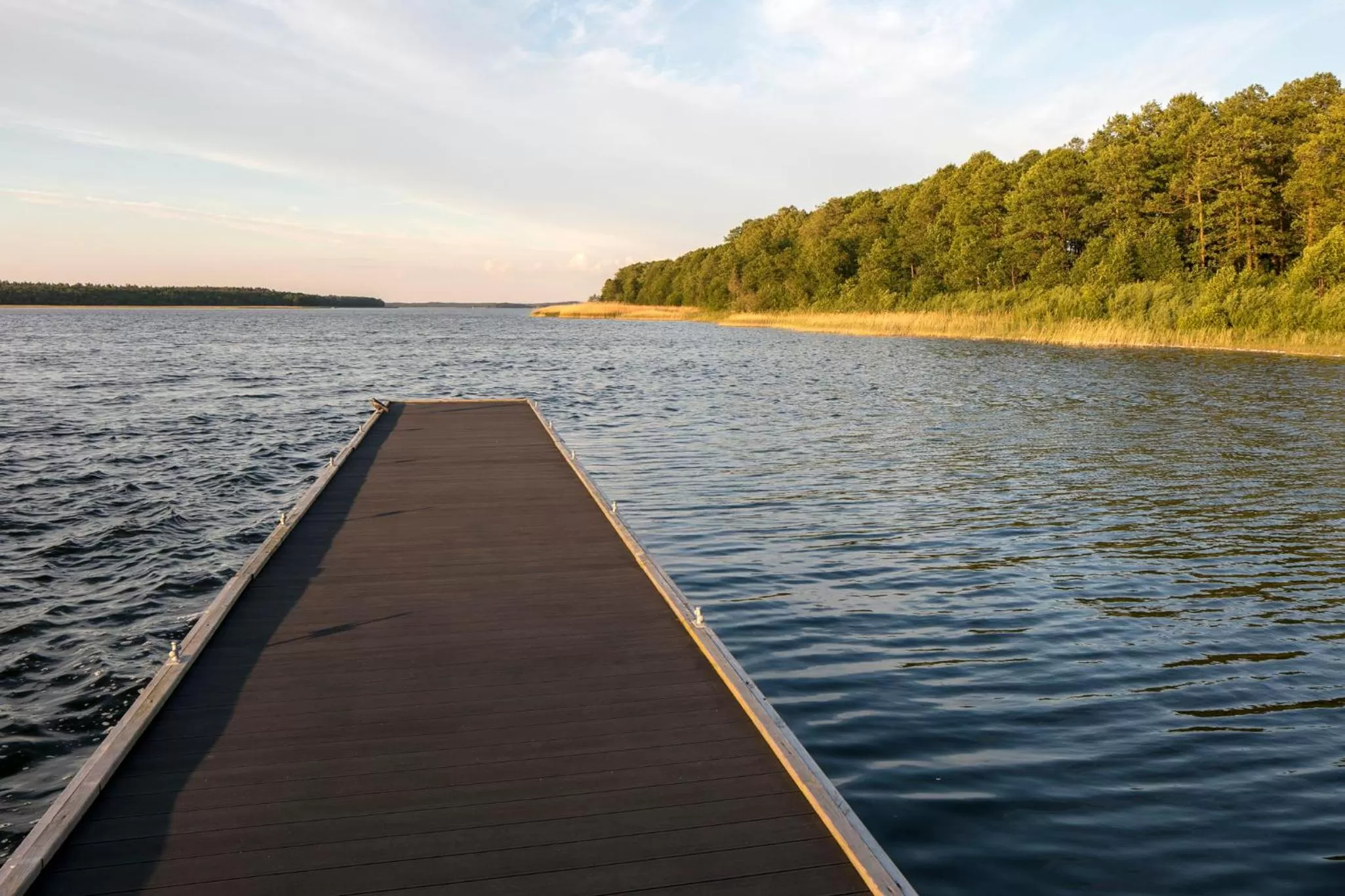 Lake view in Apartamenty Zielona Lipka