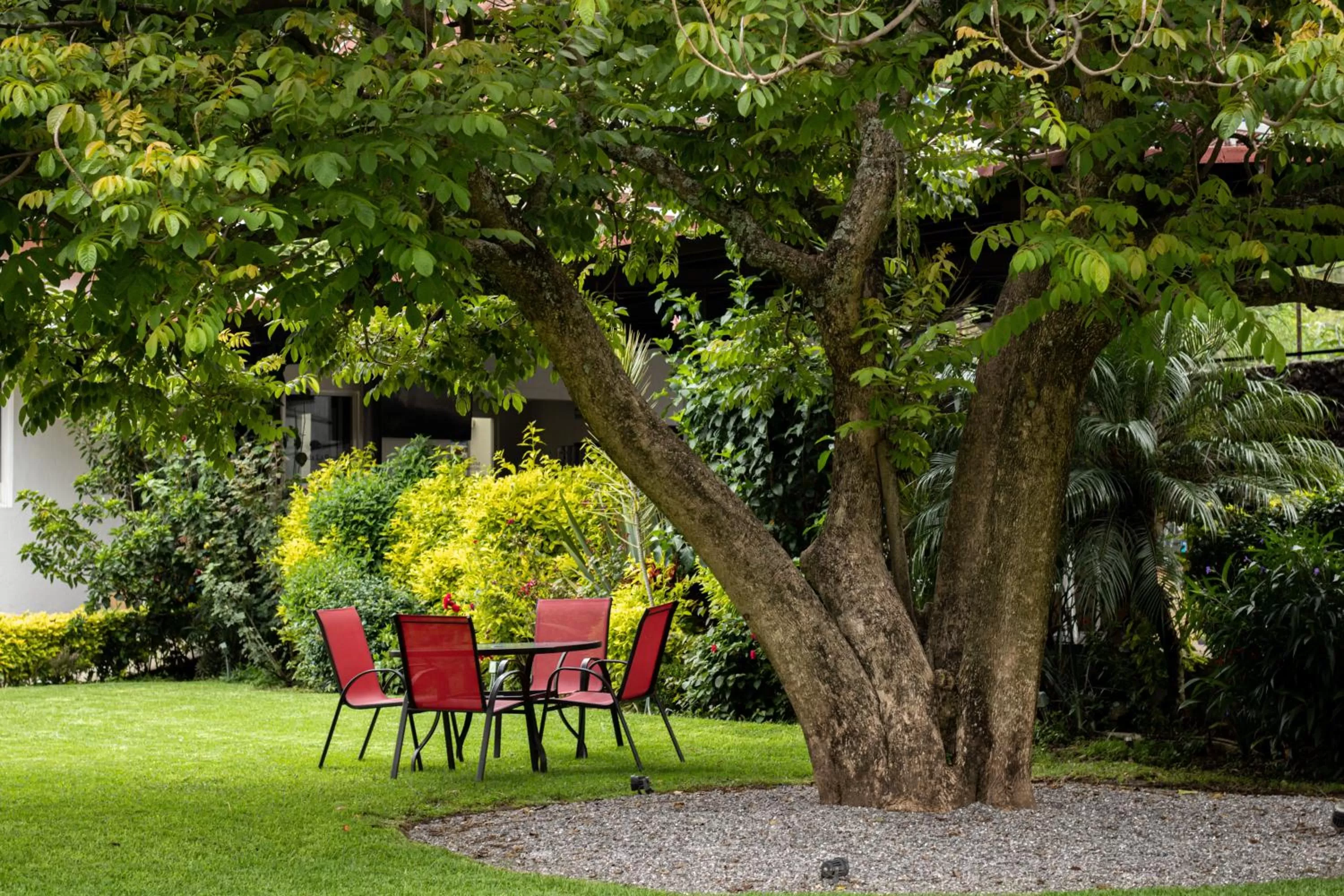 Restaurant/places to eat, Garden in Posada La Presa