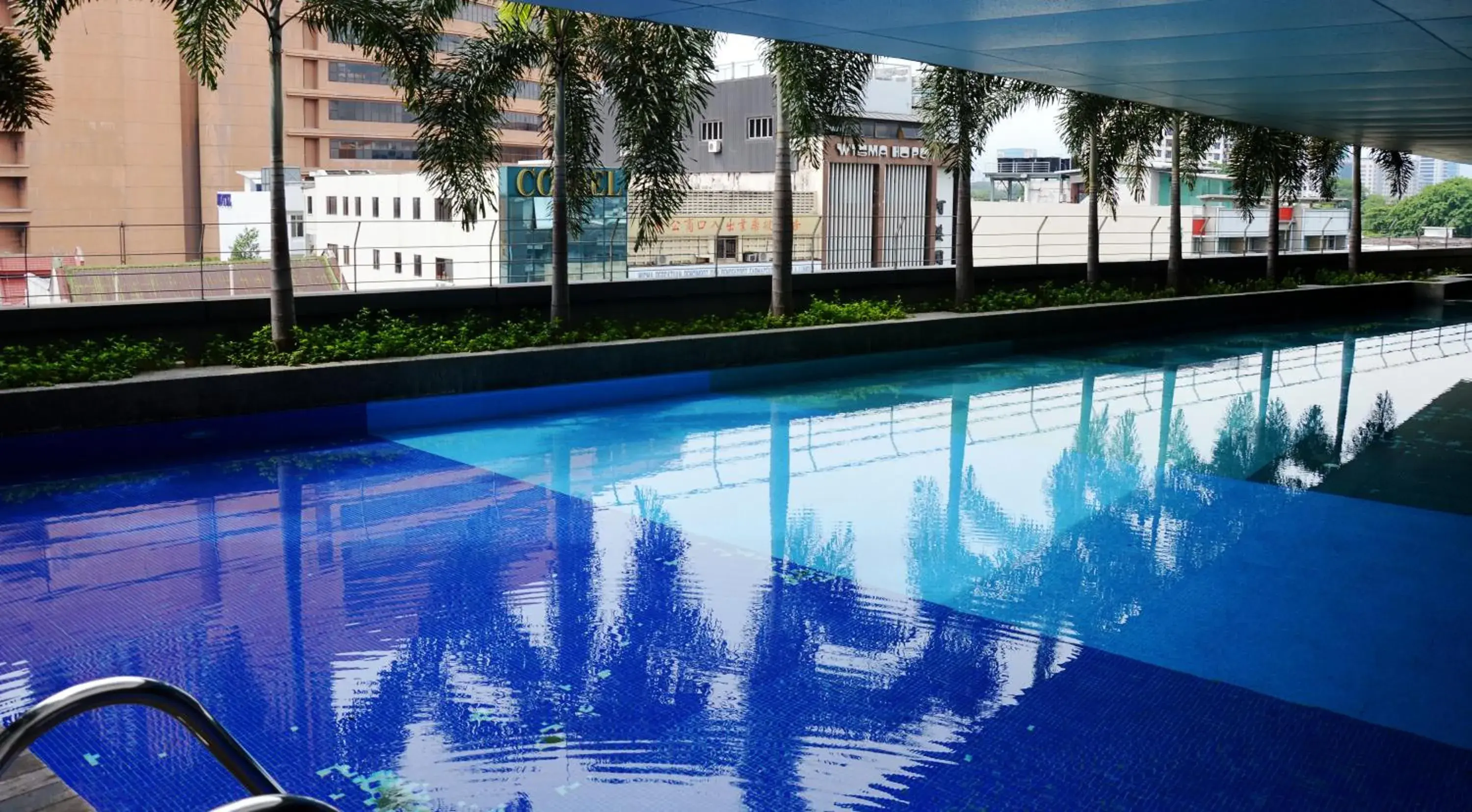 Pool view, Swimming Pool in Taragon Residences