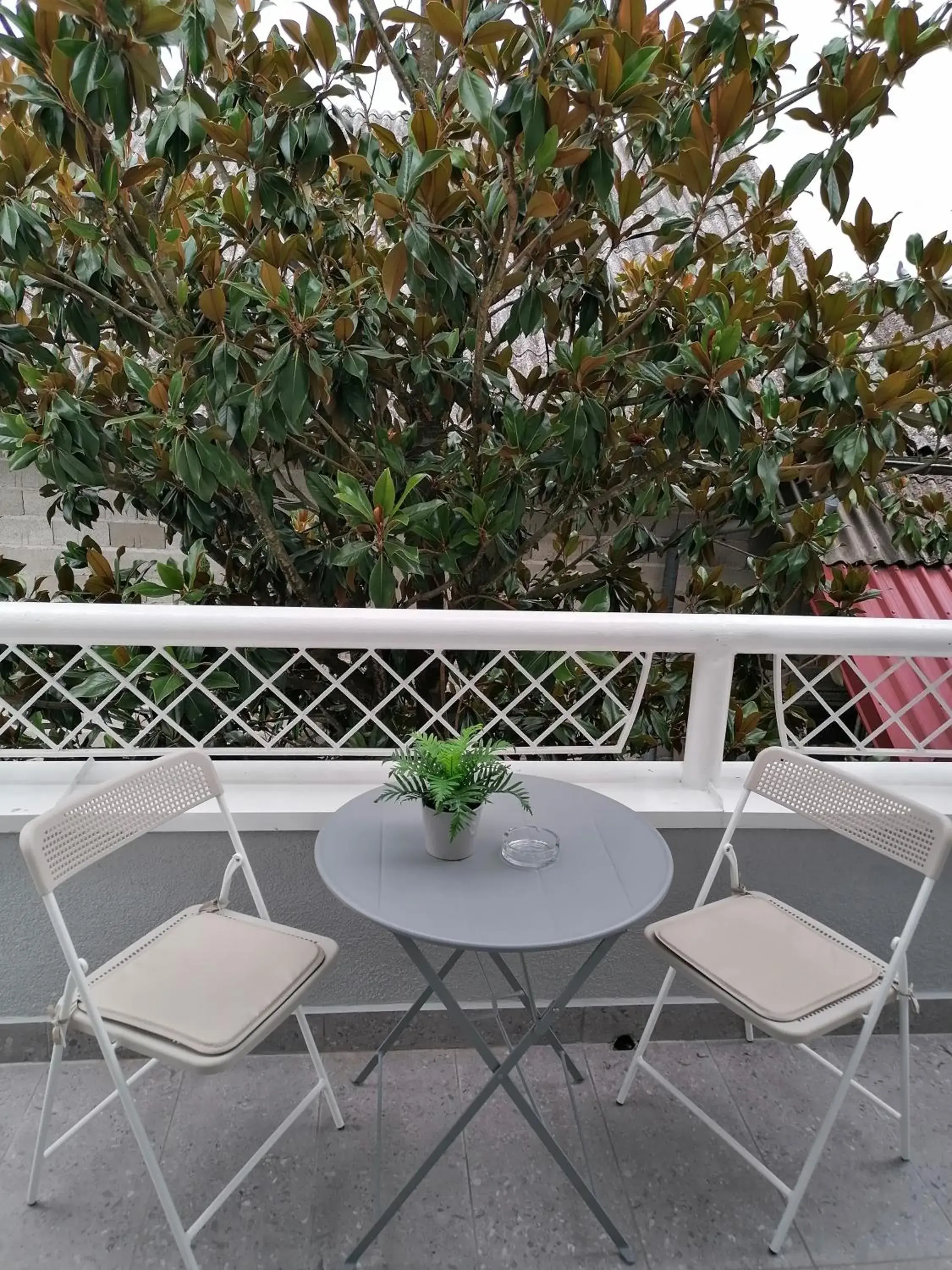 Balcony/Terrace in Hotel Pleso