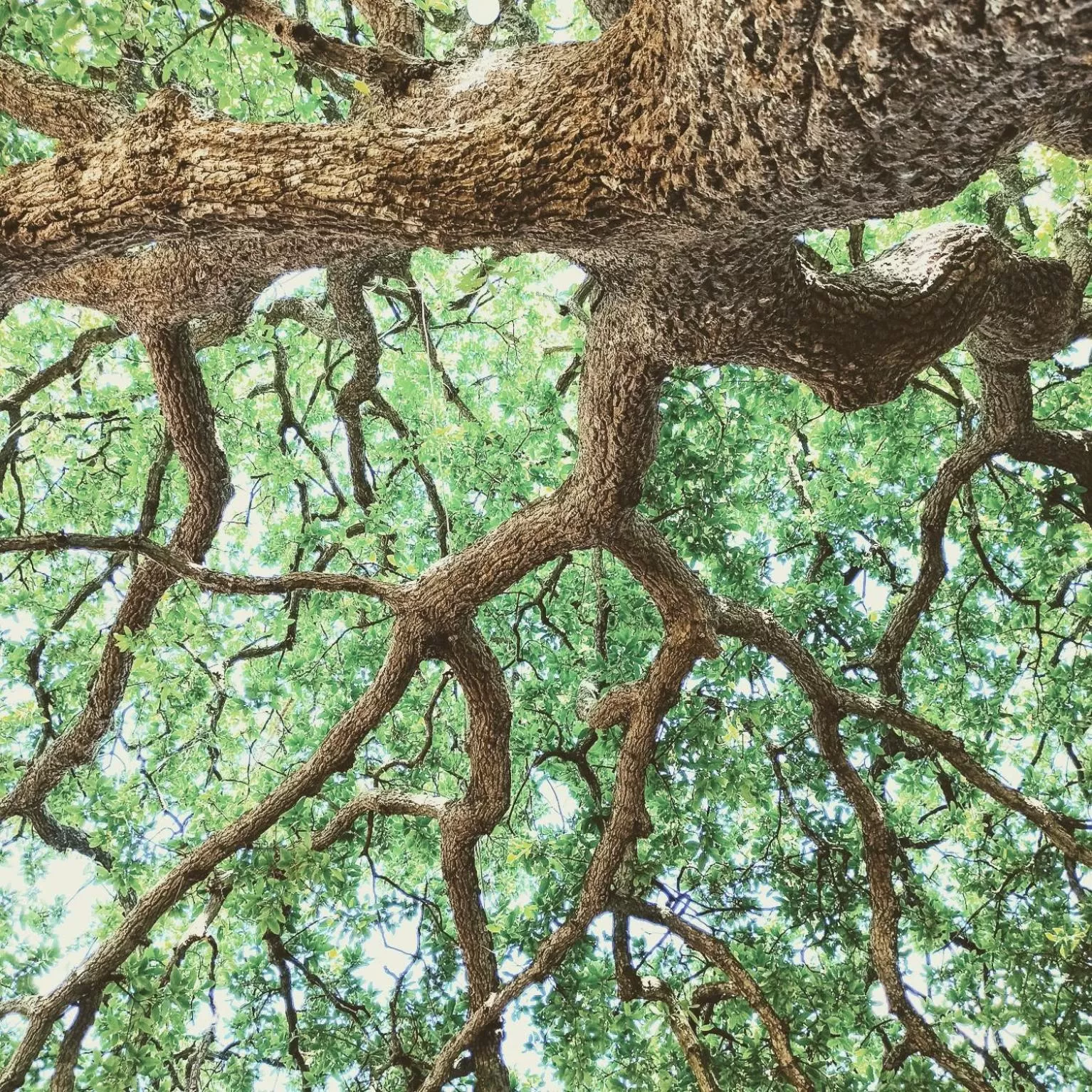 Natural landscape in Masseria LoJazzo
