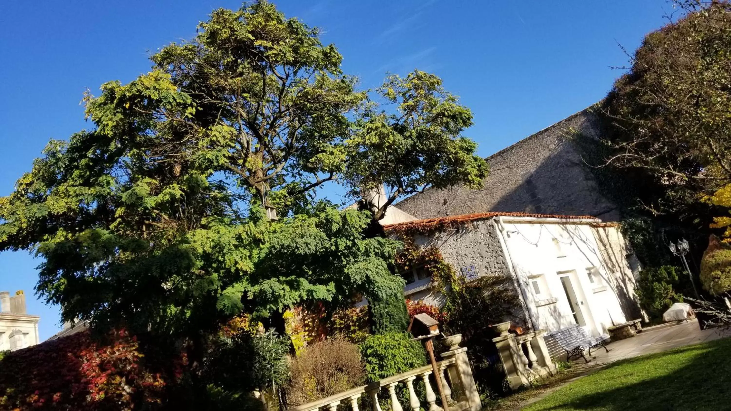 Property Building in La Maison Blanche