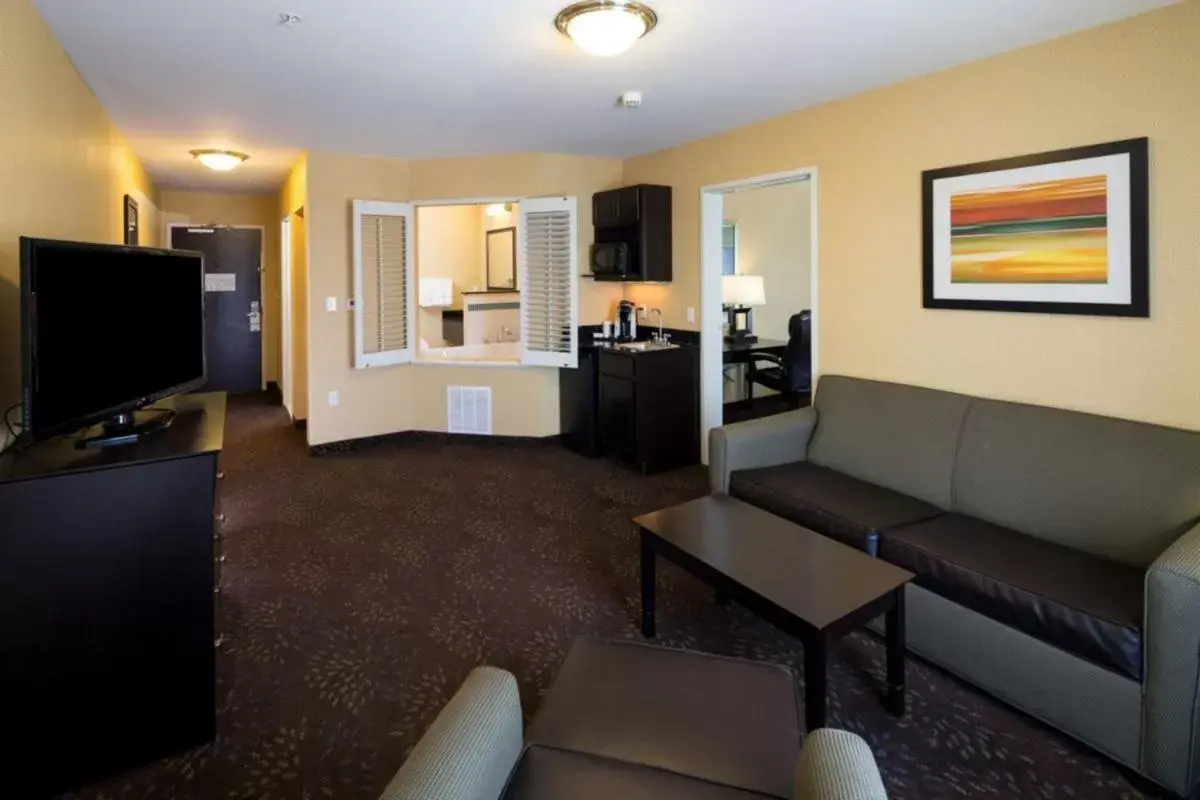 Seating Area in Holiday Inn Express and Suites Detroit North-Troy, an IHG Hotel