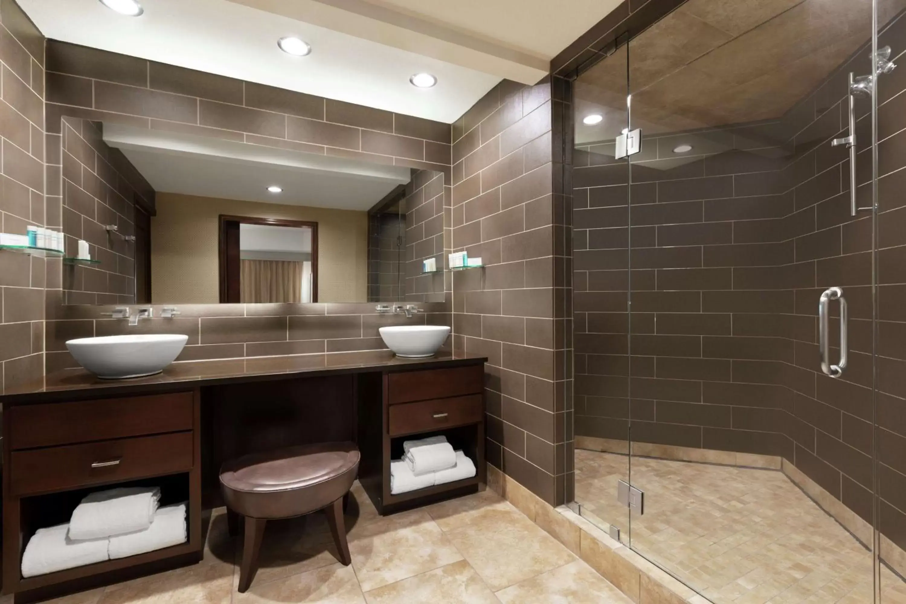 Bathroom in Embassy Suites Dallas - DFW Airport North