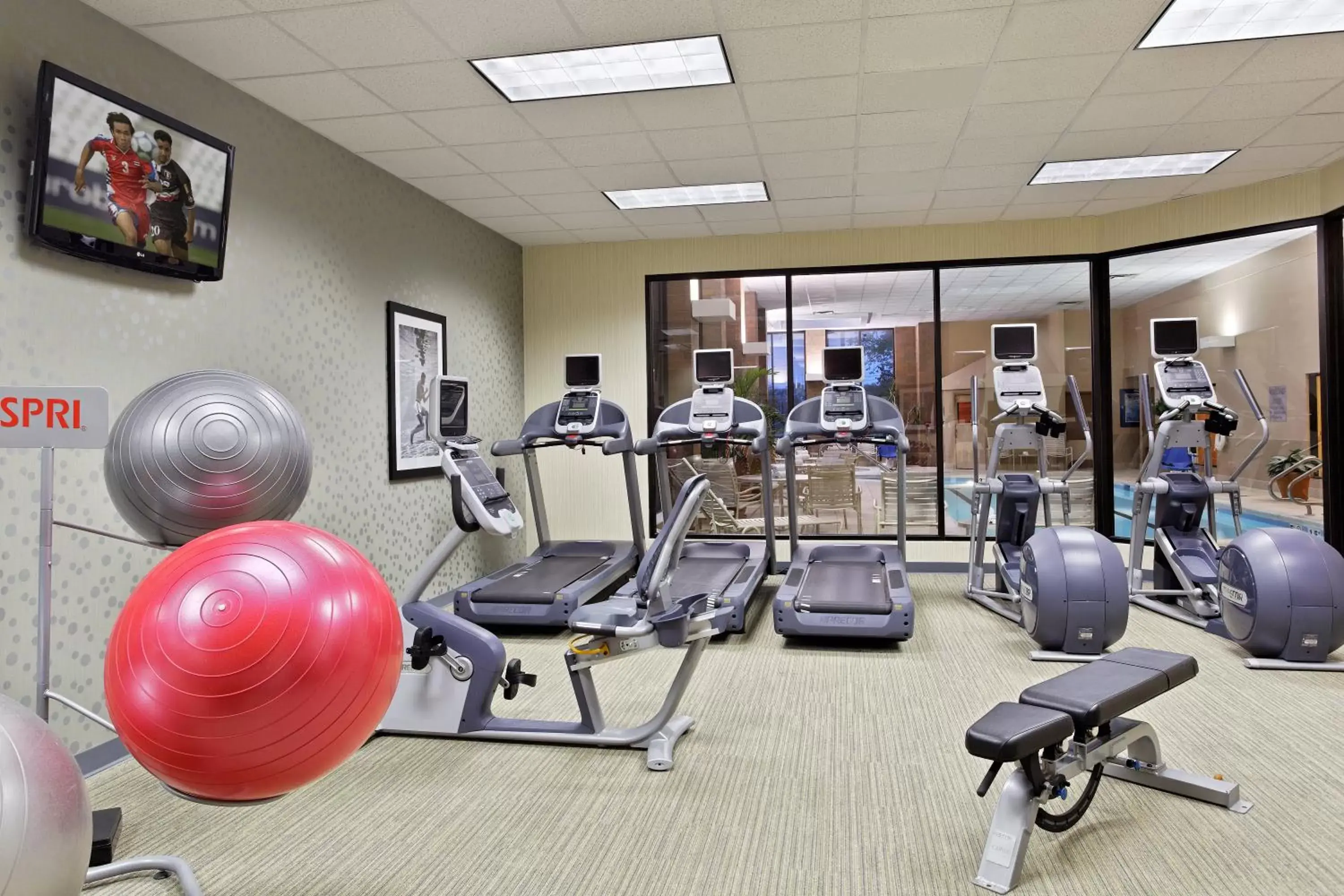 Spa and wellness centre/facilities, Fitness Center/Facilities in Holiday Inn Cincinnati Airport, an IHG Hotel