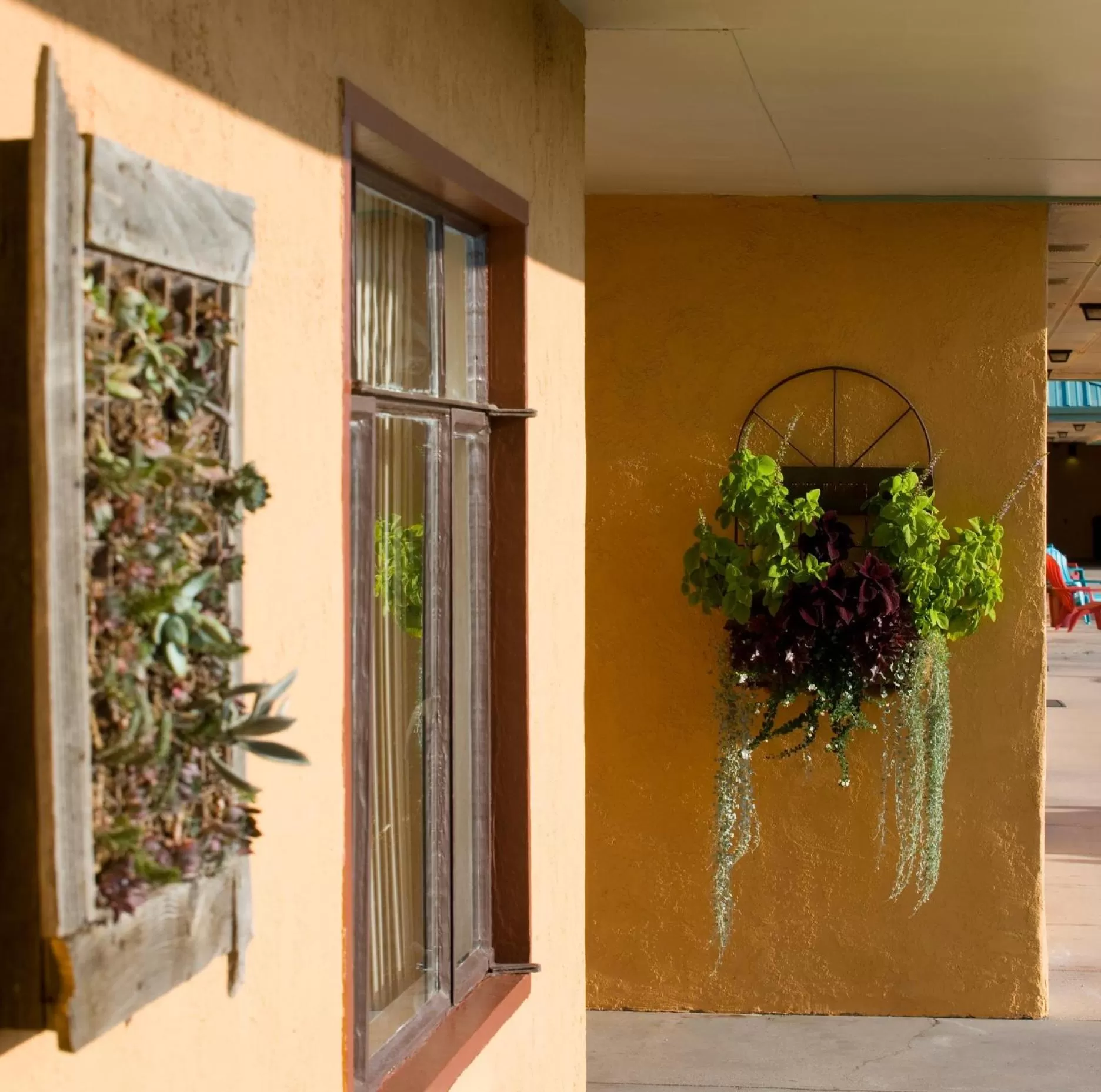 Sunset Motel Moriarty