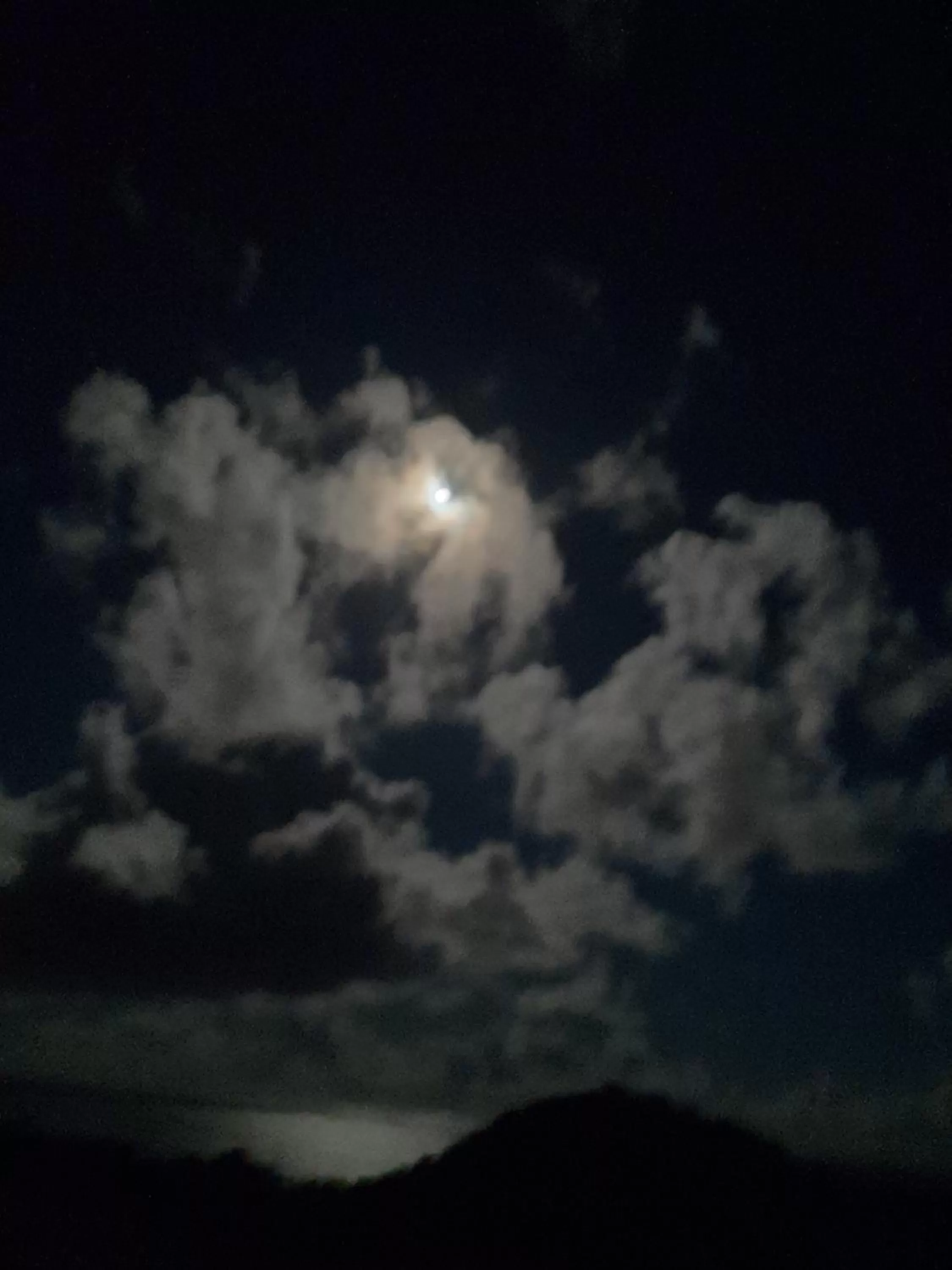 Night in The Milligan