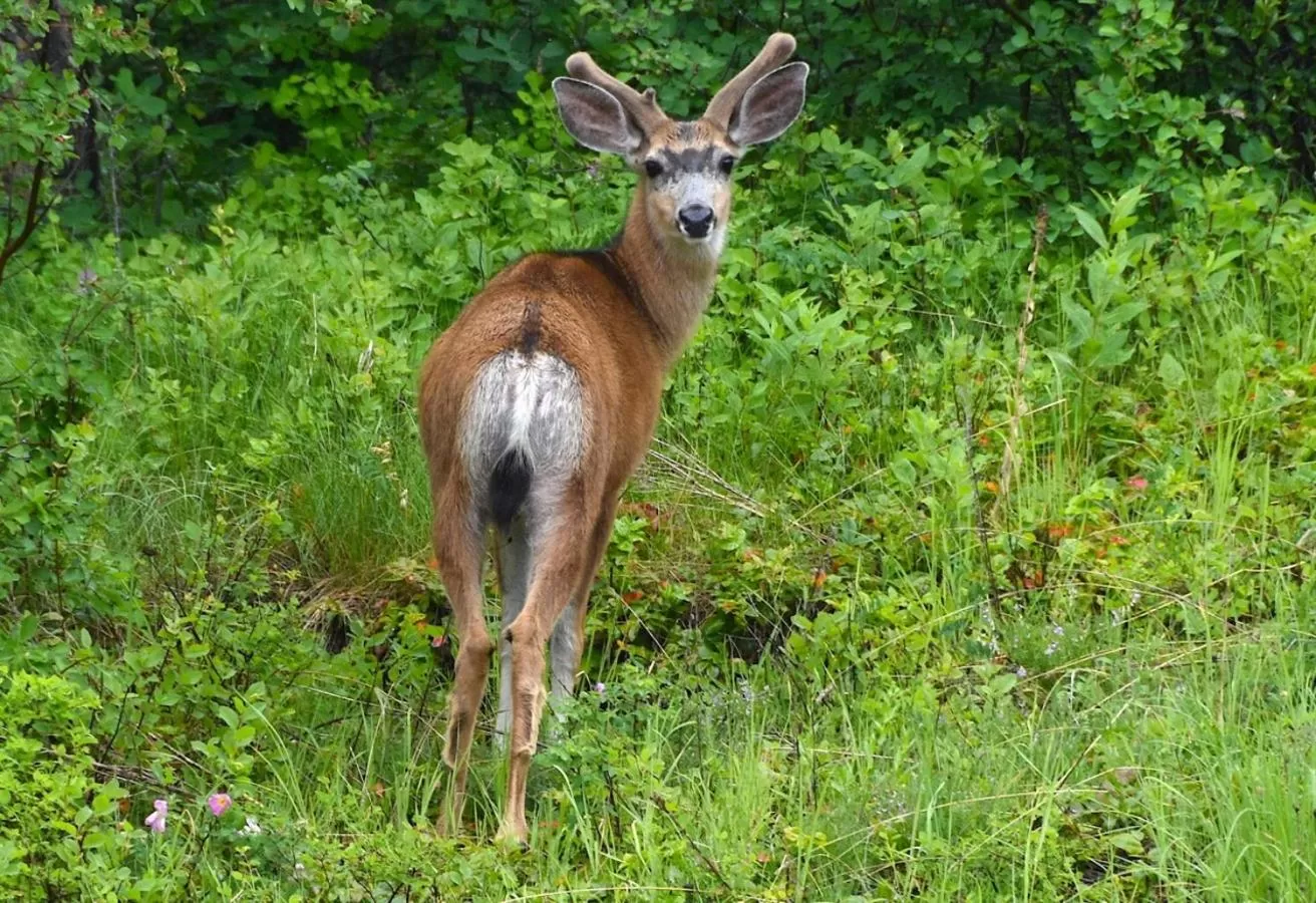 A Suite Retreat - Beyond Bed & Breakfast
