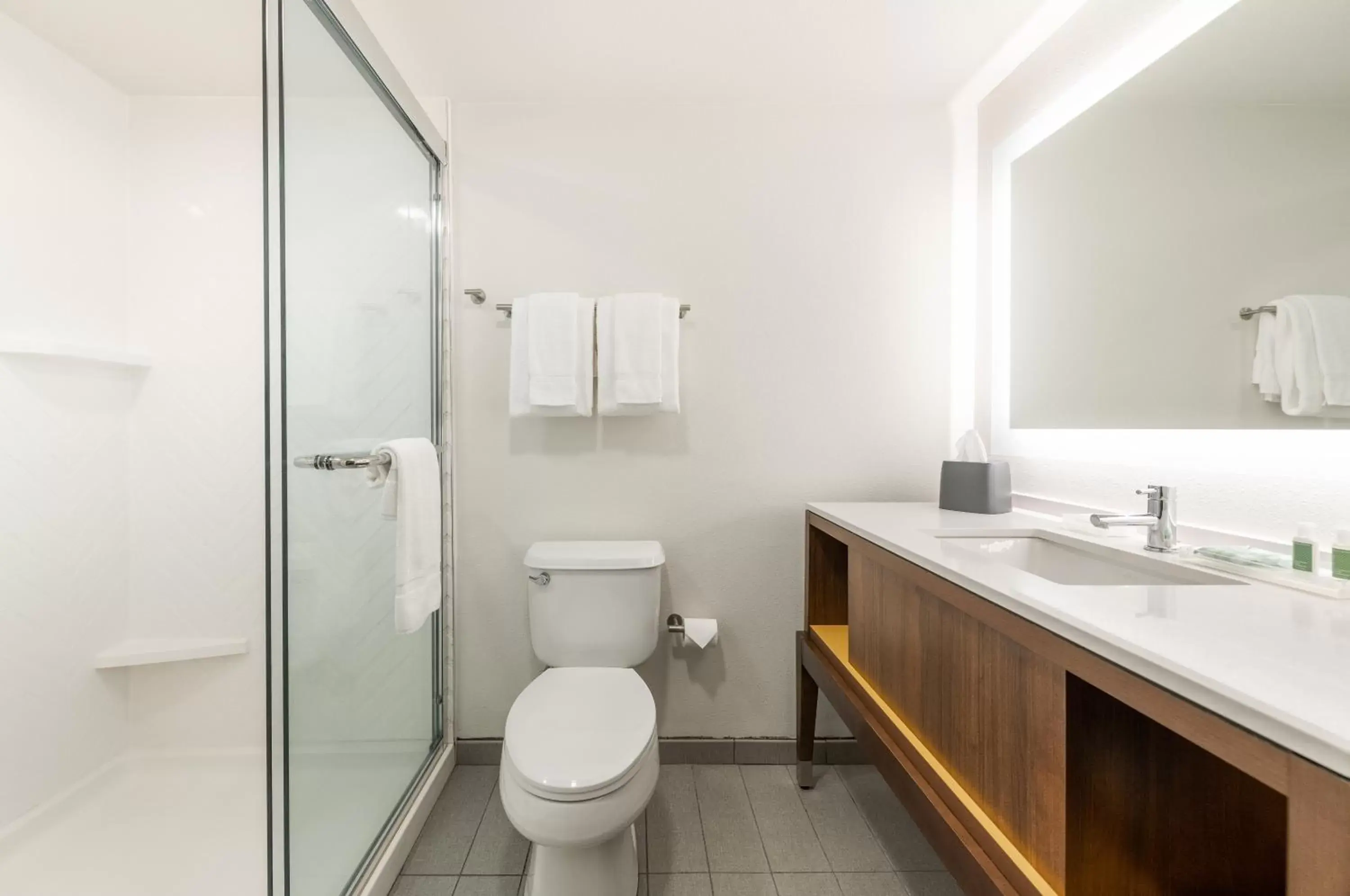Bathroom in Holiday Inn Hotel & Suites - Orange Park - Wells Rd.