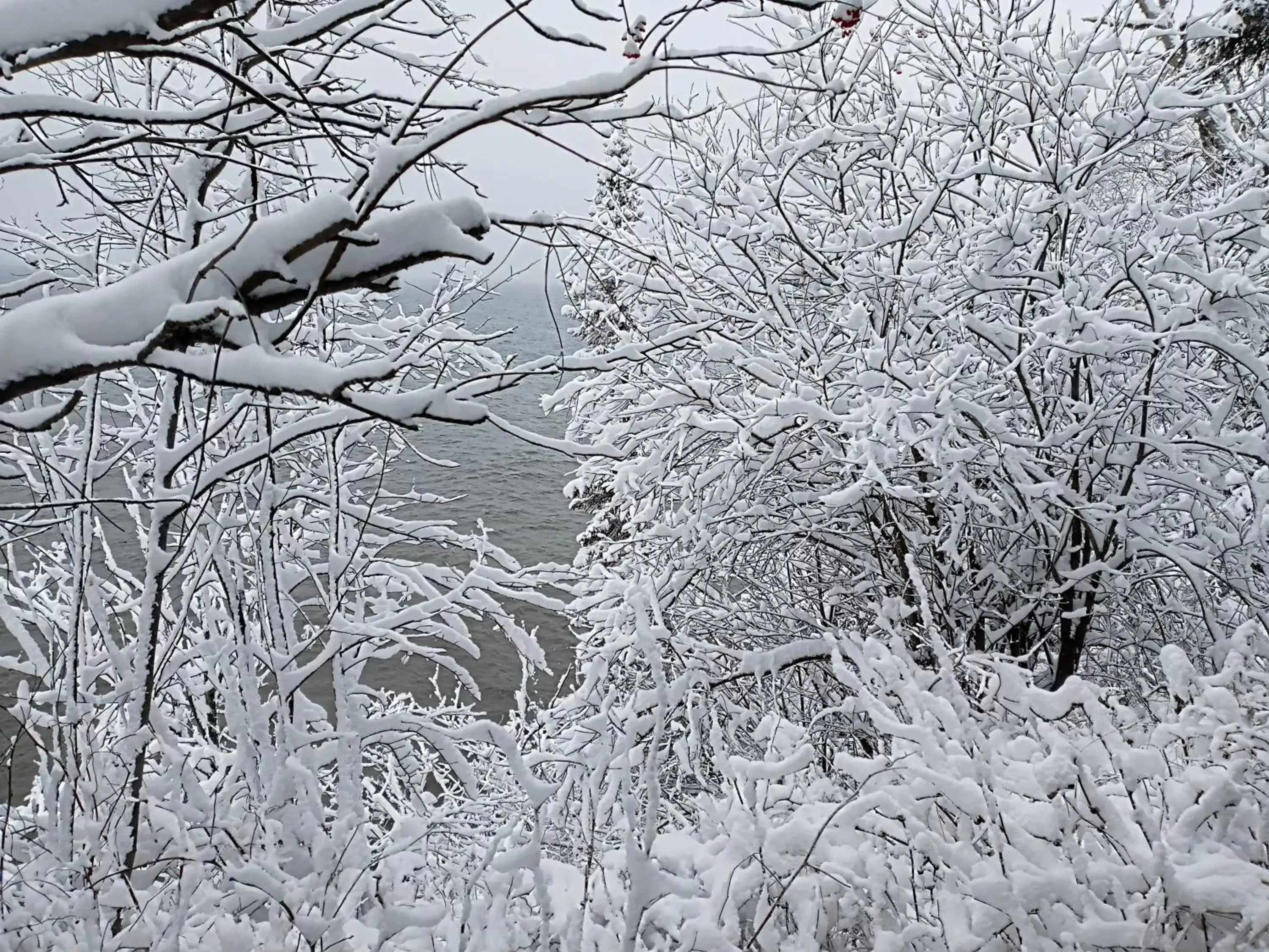 Natural landscape, Winter in Cliff Dweller on Lake Superior