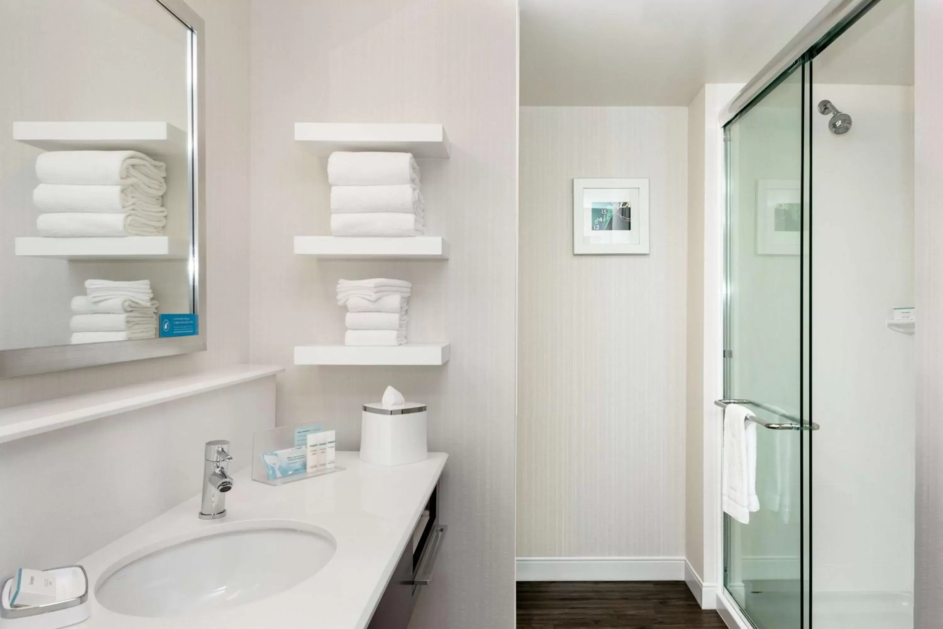 Bathroom in Hampton Inn & Suites by Hilton Seattle/Northgate