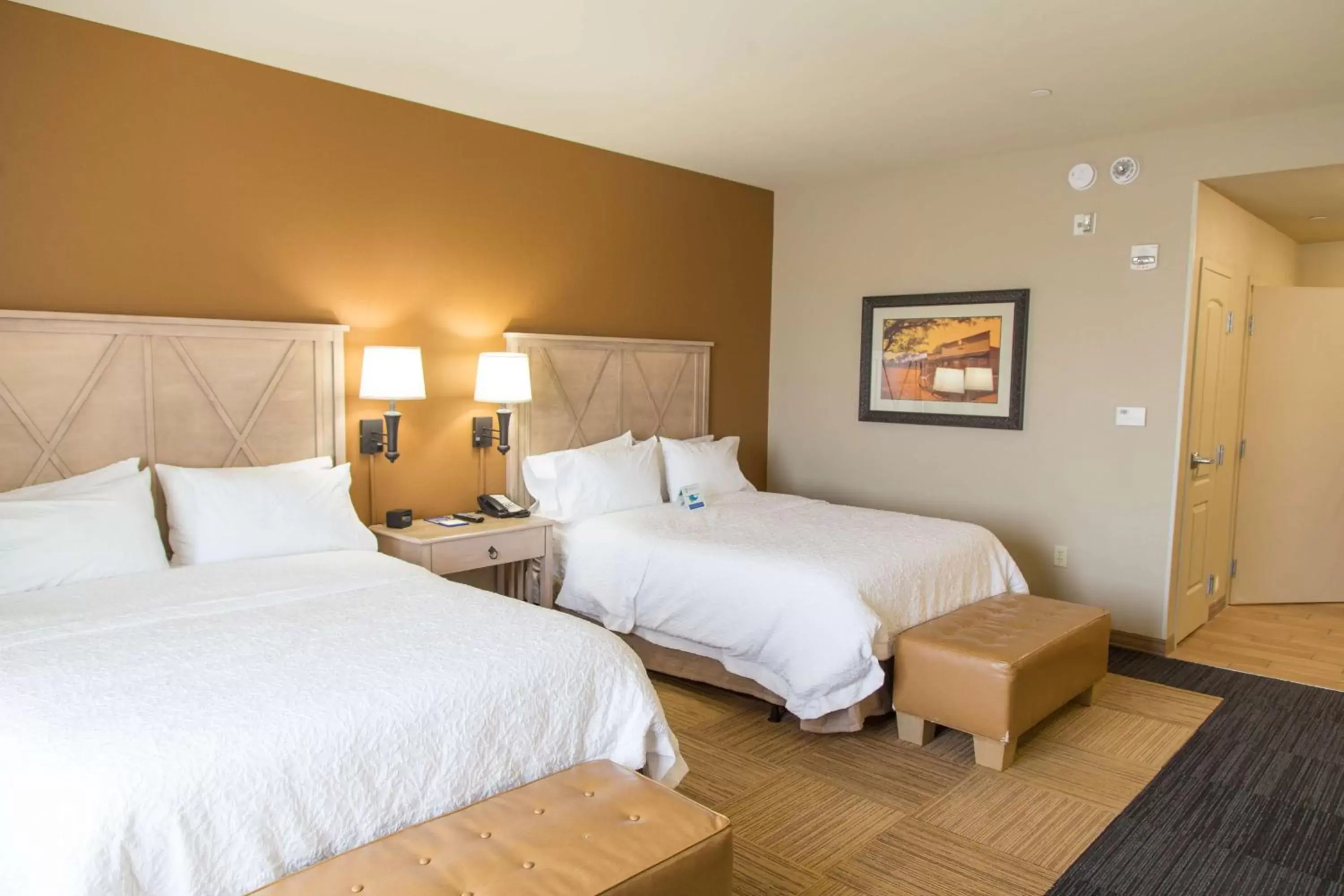 Photo of the whole room, Bed in Hampton Inn & Suites Dodge City