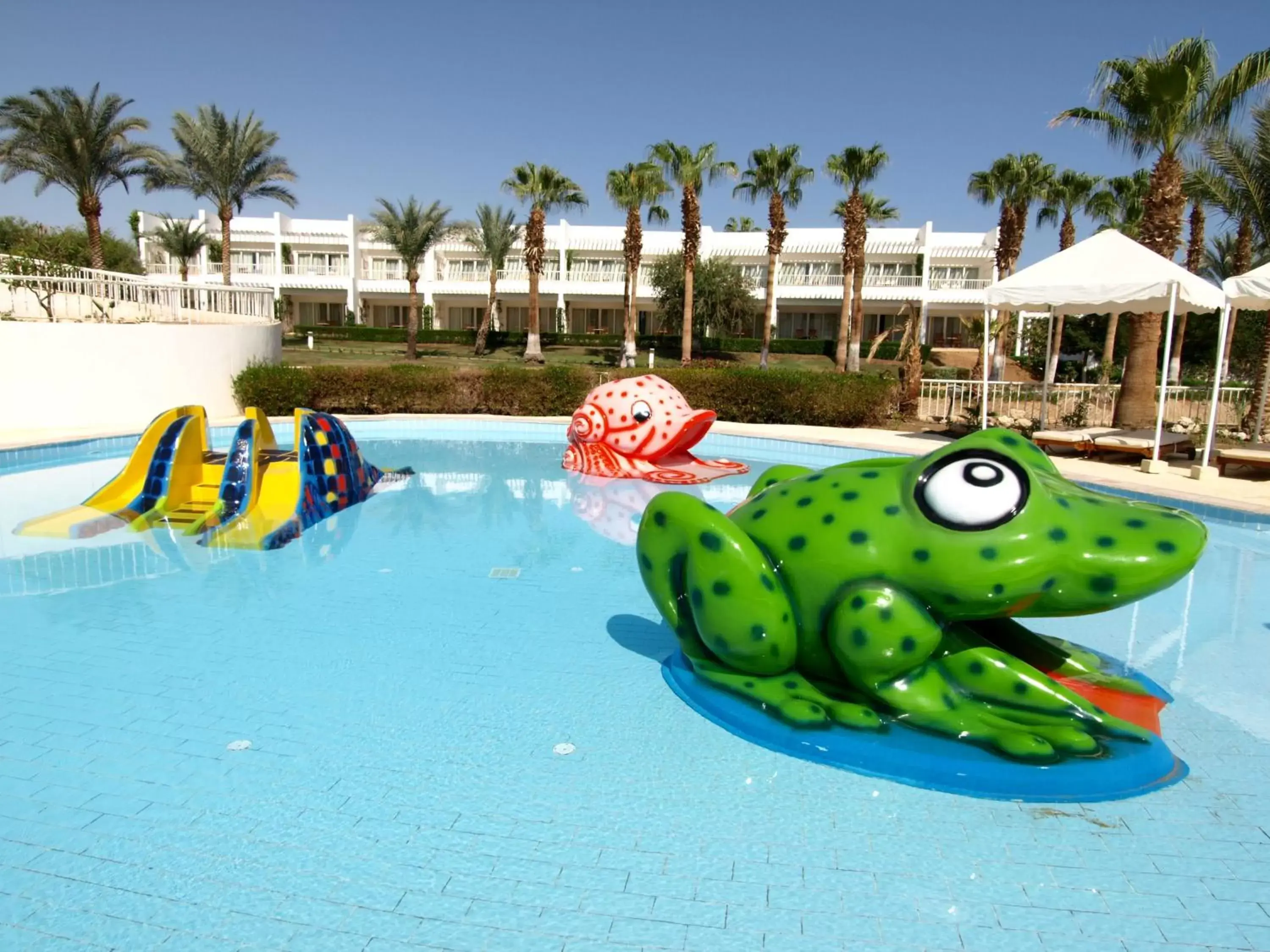 Pool view, Swimming Pool in Monte Carlo Sharm Resort & Spa