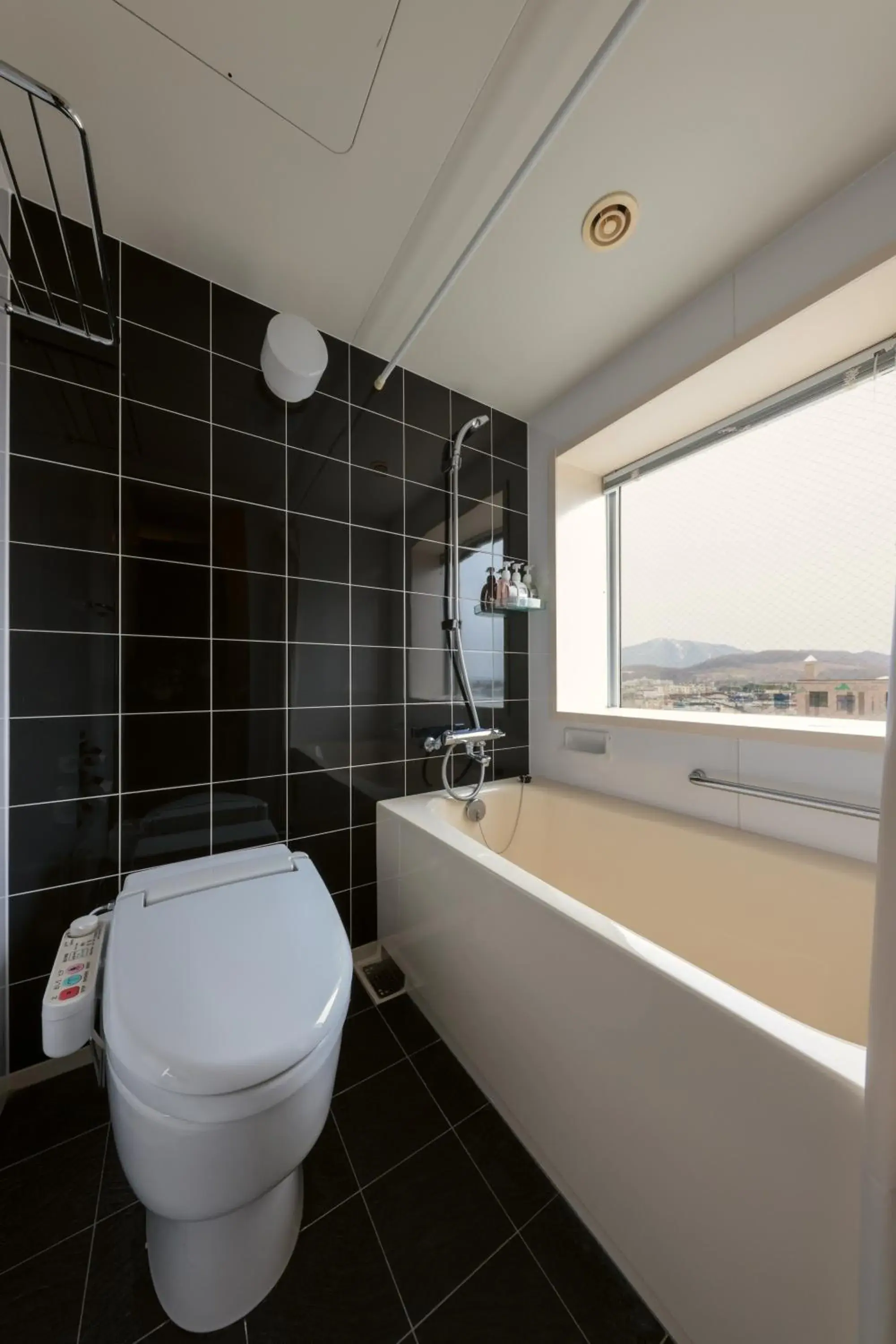Shower, Bathroom in Furano Natulux Hotel
