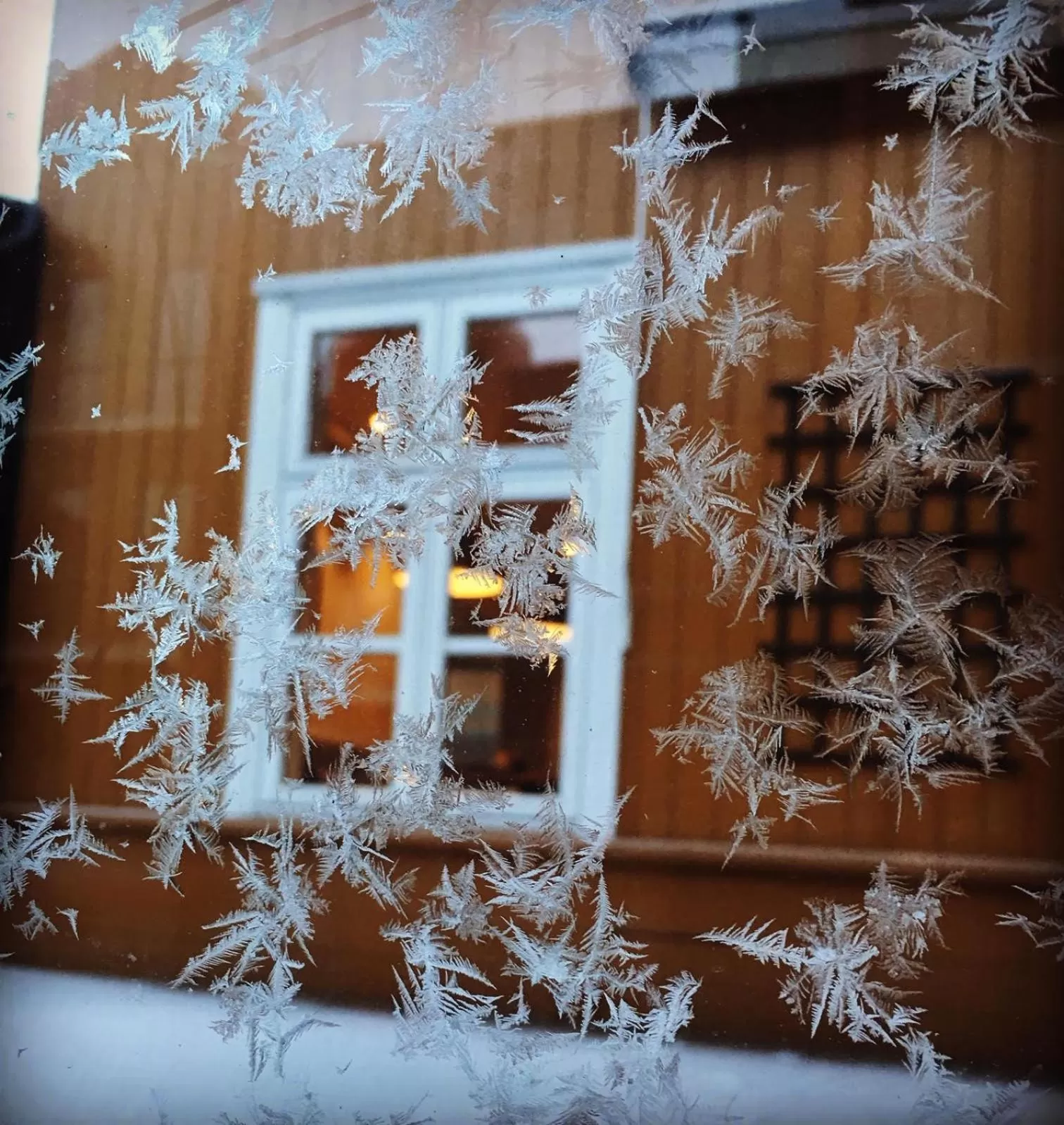 Winter in Home Hotel Hammer