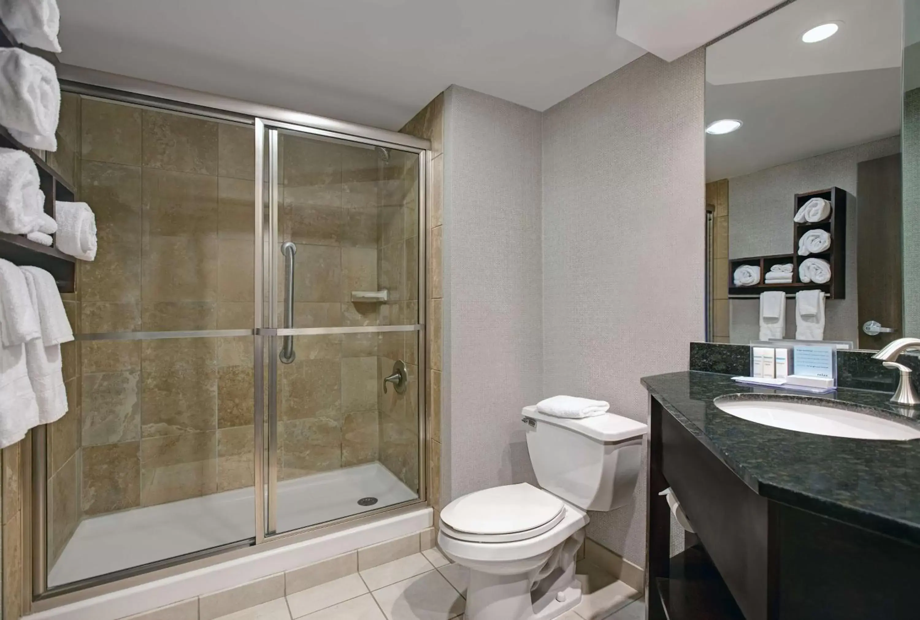 Bathroom in Hampton Inn By Hilton Greenville Woodruff Road