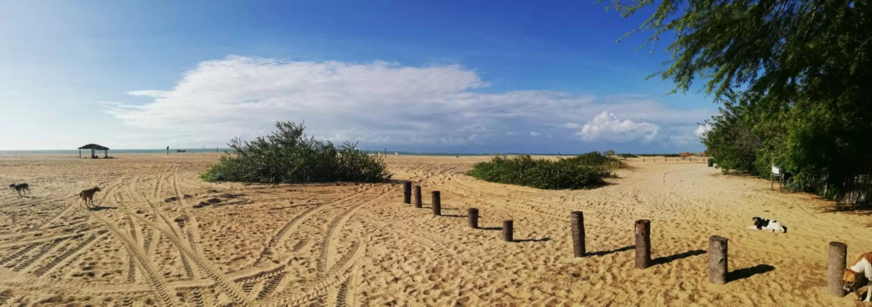 Pousada Casa de João Kitehouse