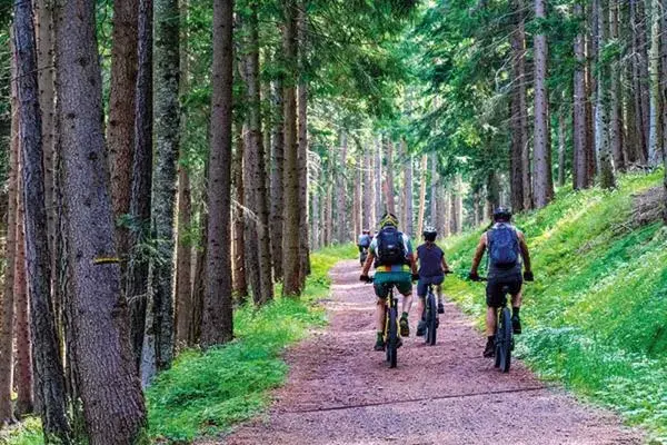 Cycling, Horseback Riding in Hotel-Restaurant Erbprinz