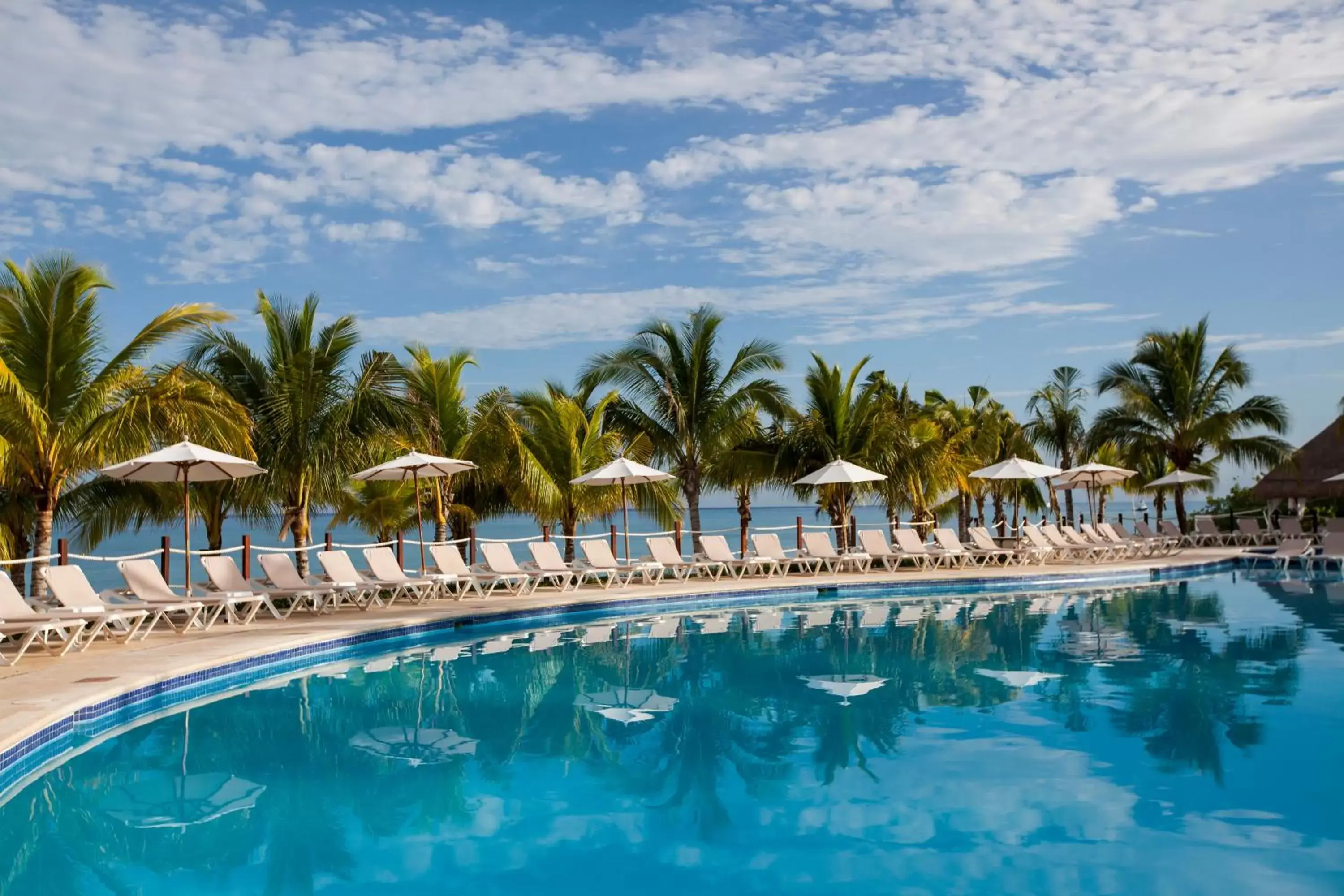 Pool view, Swimming Pool in Occidental Cozumel - All Inclusive