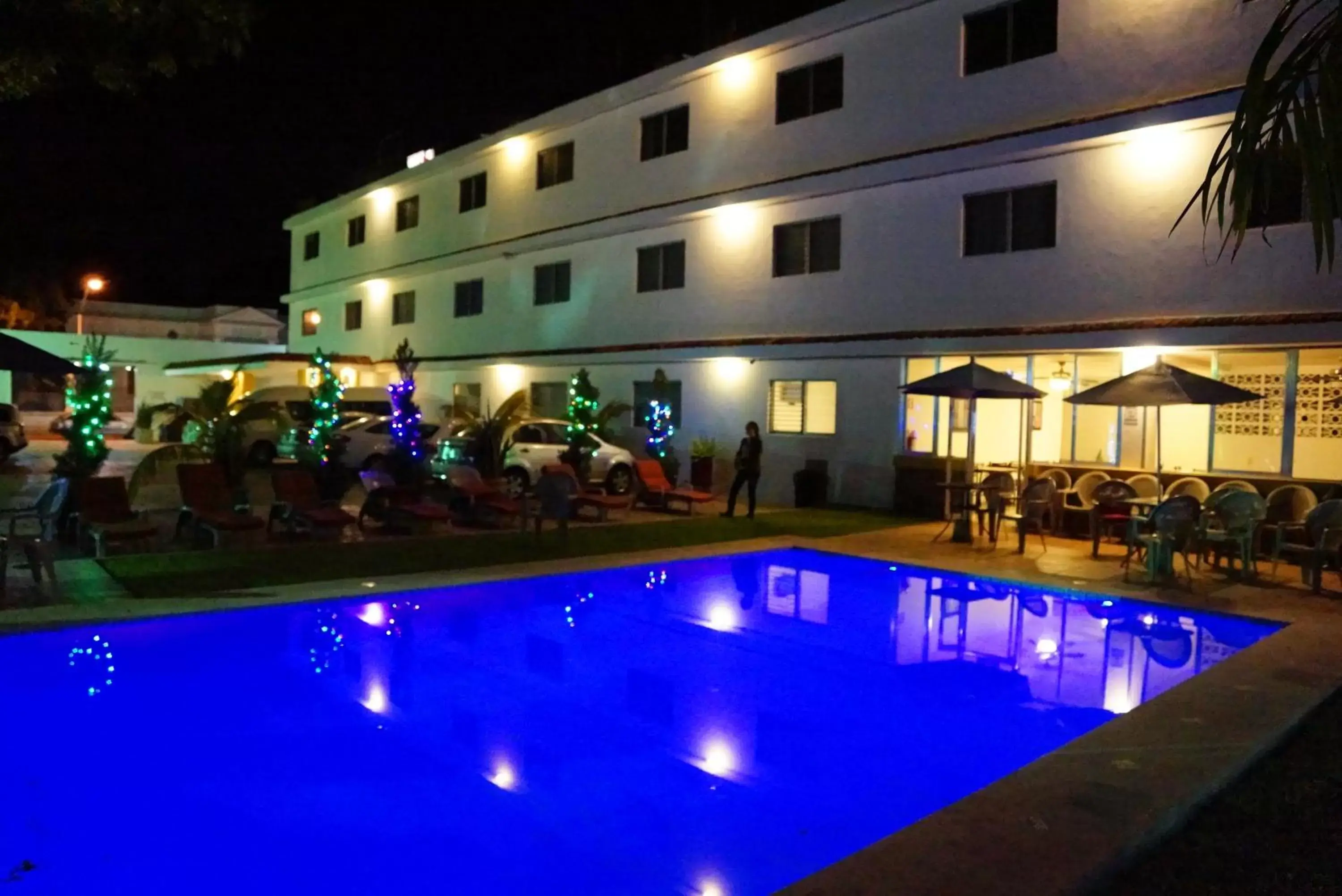 Night, Swimming Pool in Hotel Las Dalias Inn