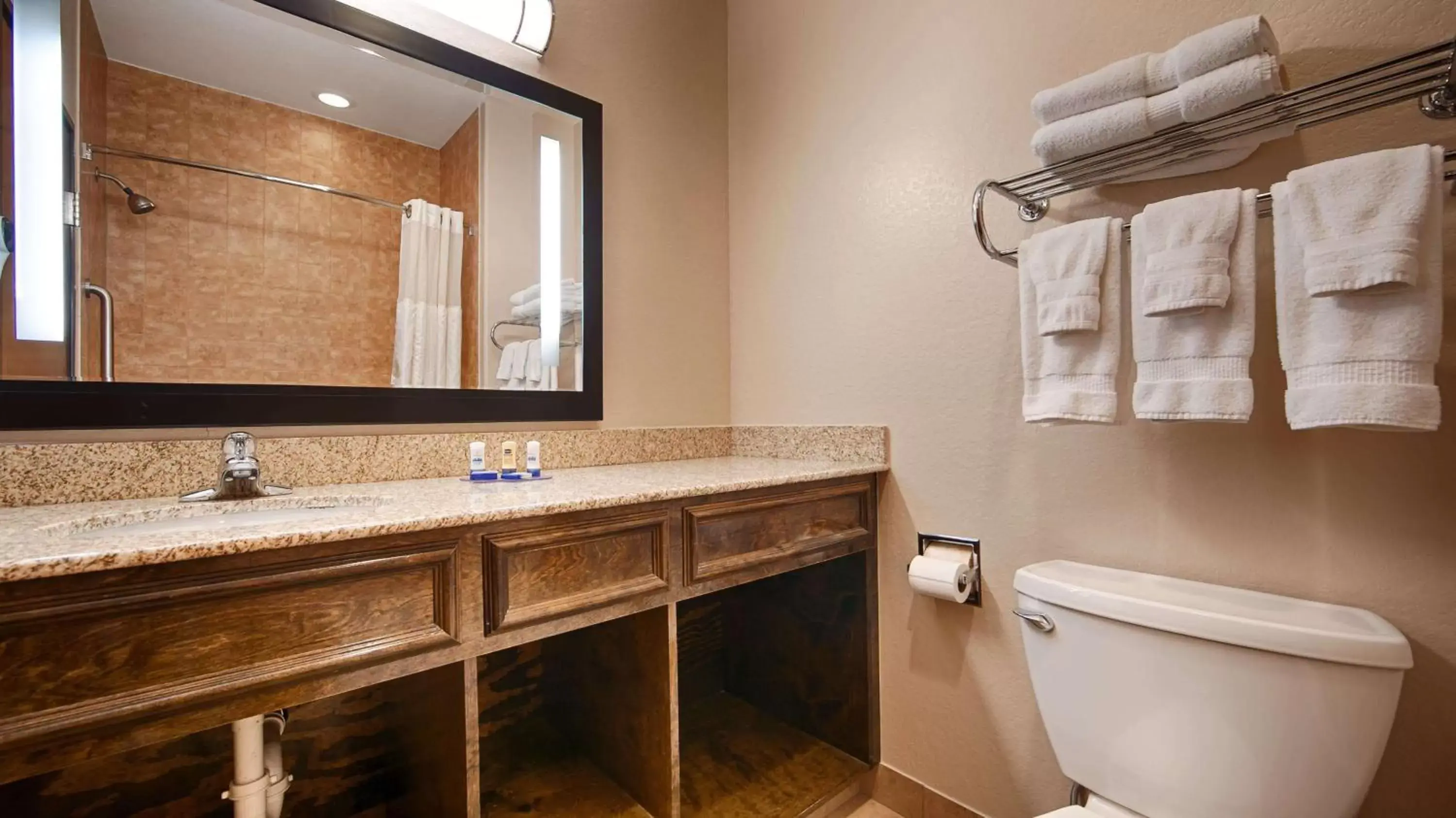 Bathroom in Best Western Plus Palo Alto Inn and Suites