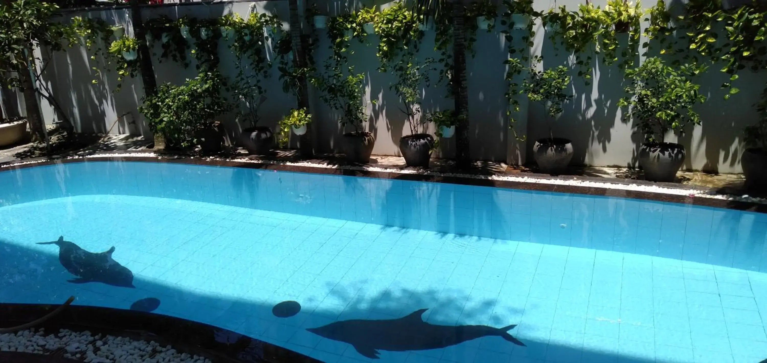 Pool view in The Moon Villa Hoi An Pool view in The Moon Villa Hoi An