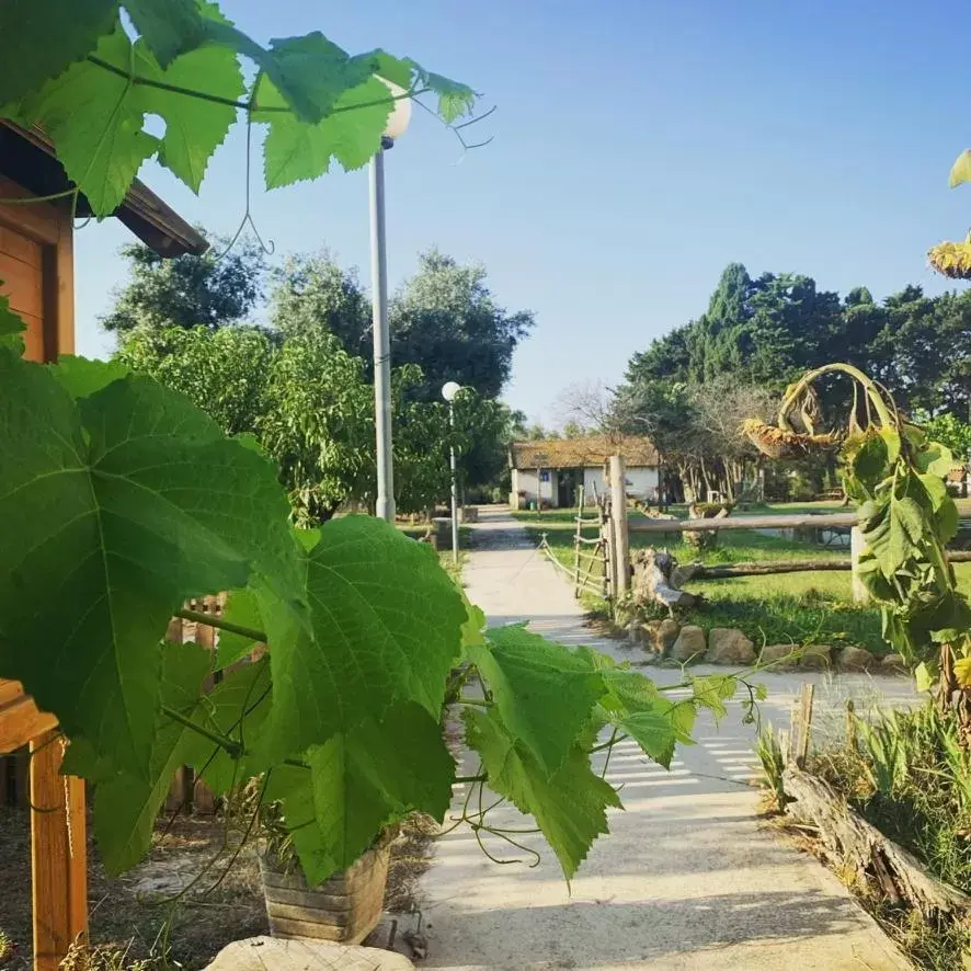 Garden view, Swimming Pool in Agriostello Riparo