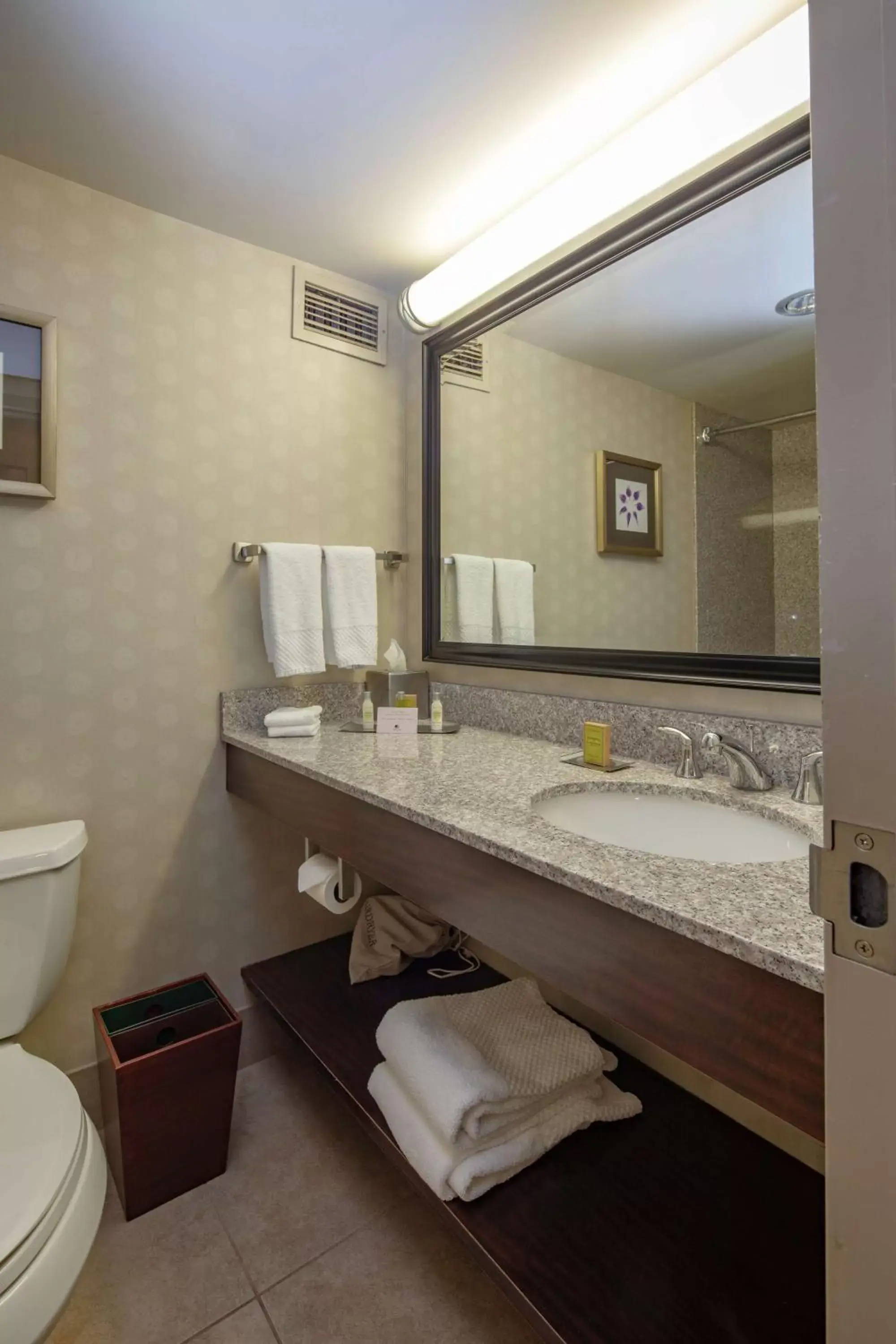 Bathroom in DoubleTree by Hilton Pittsburgh Monroeville Convention Center