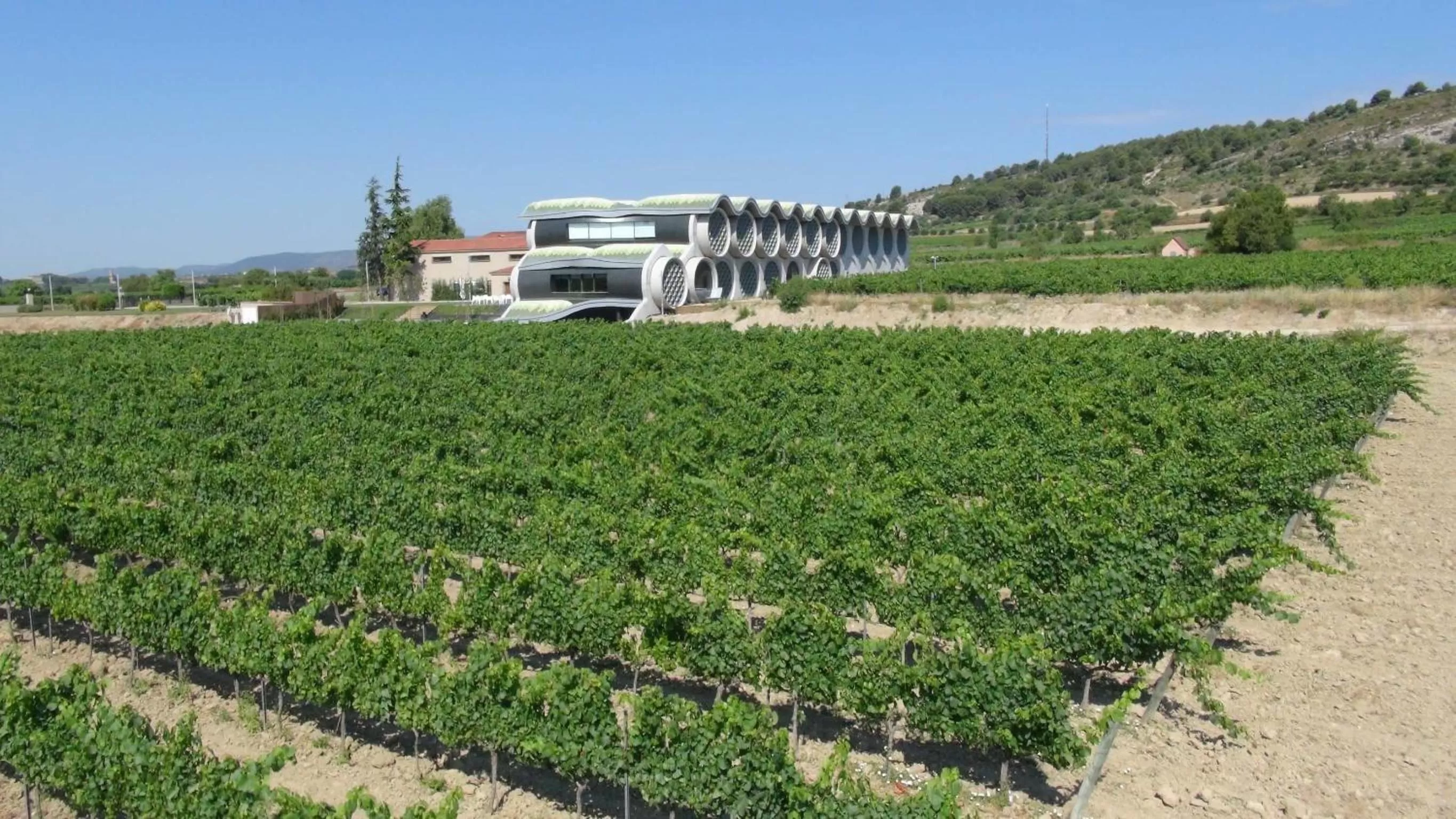 Natural landscape in Mastinell Cava & Boutique Hotel by Olivia Hotels Collection