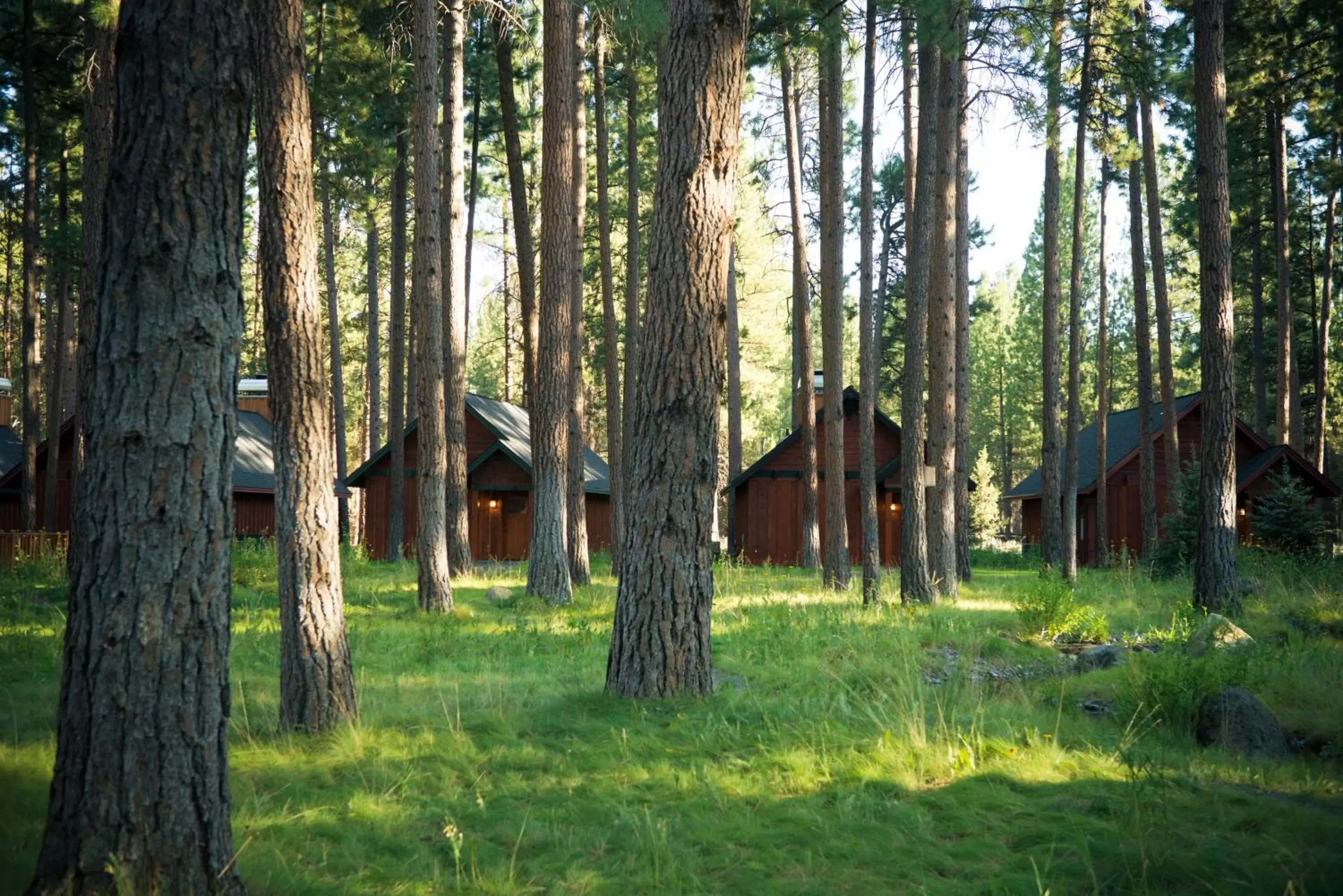 Area and facilities in FivePine Lodge