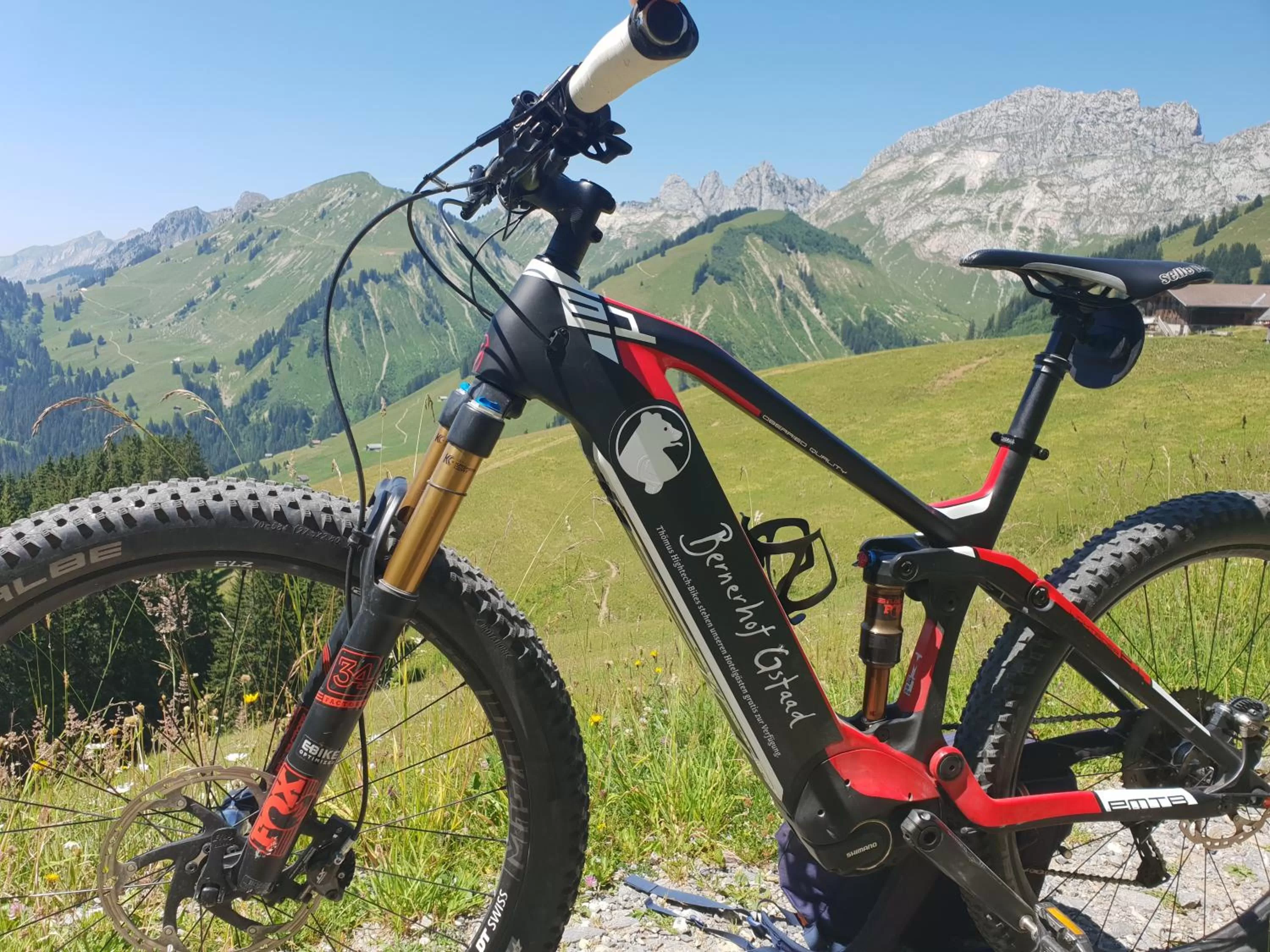 Activities in Bernerhof Swiss Quality Hotel Gstaad