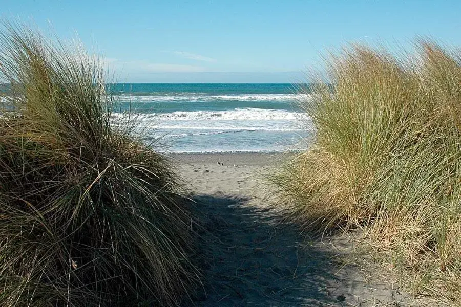 Beach in Gold Beach Inn