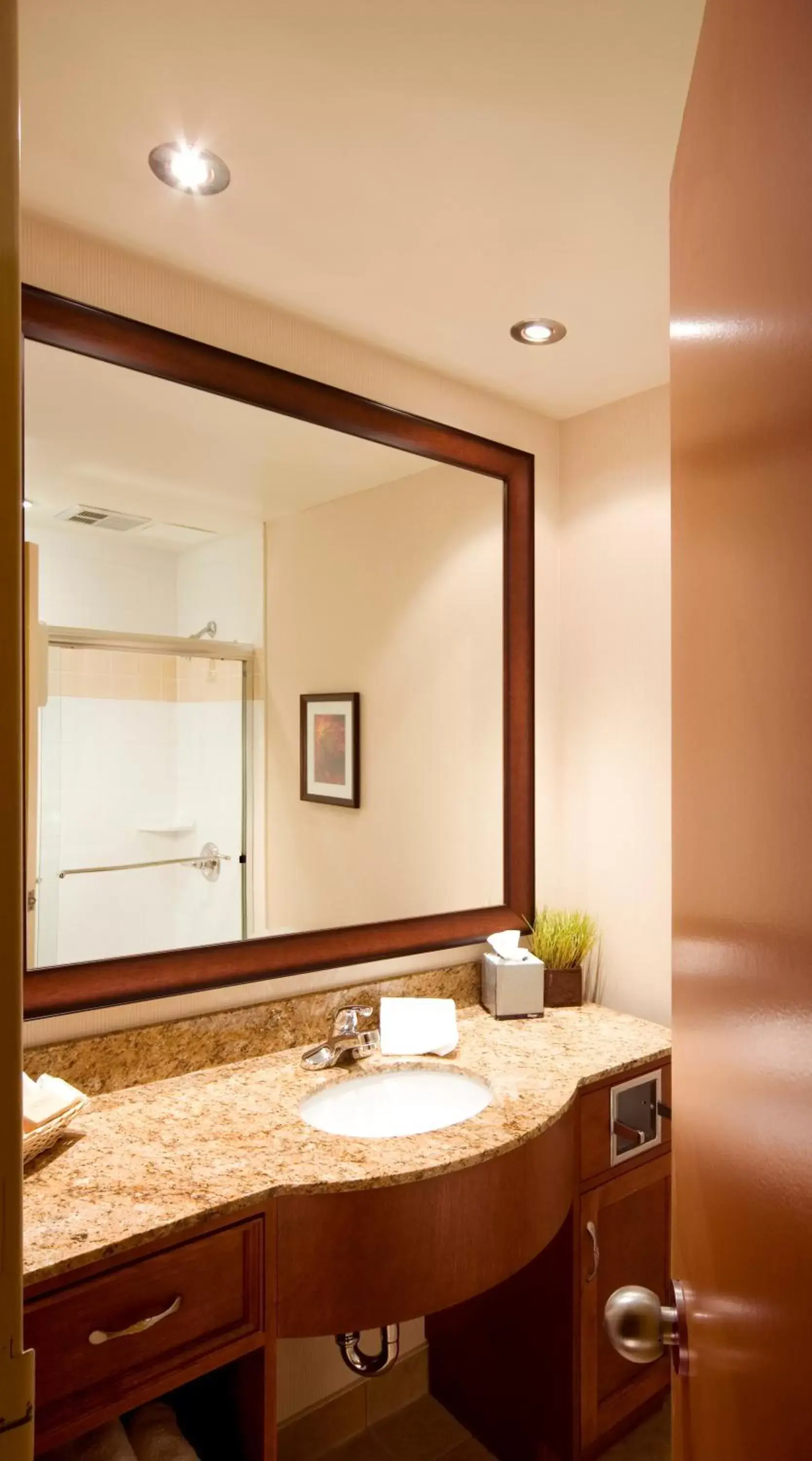 Shower, Bathroom in The Water Tower Inn - BW Premier Collection