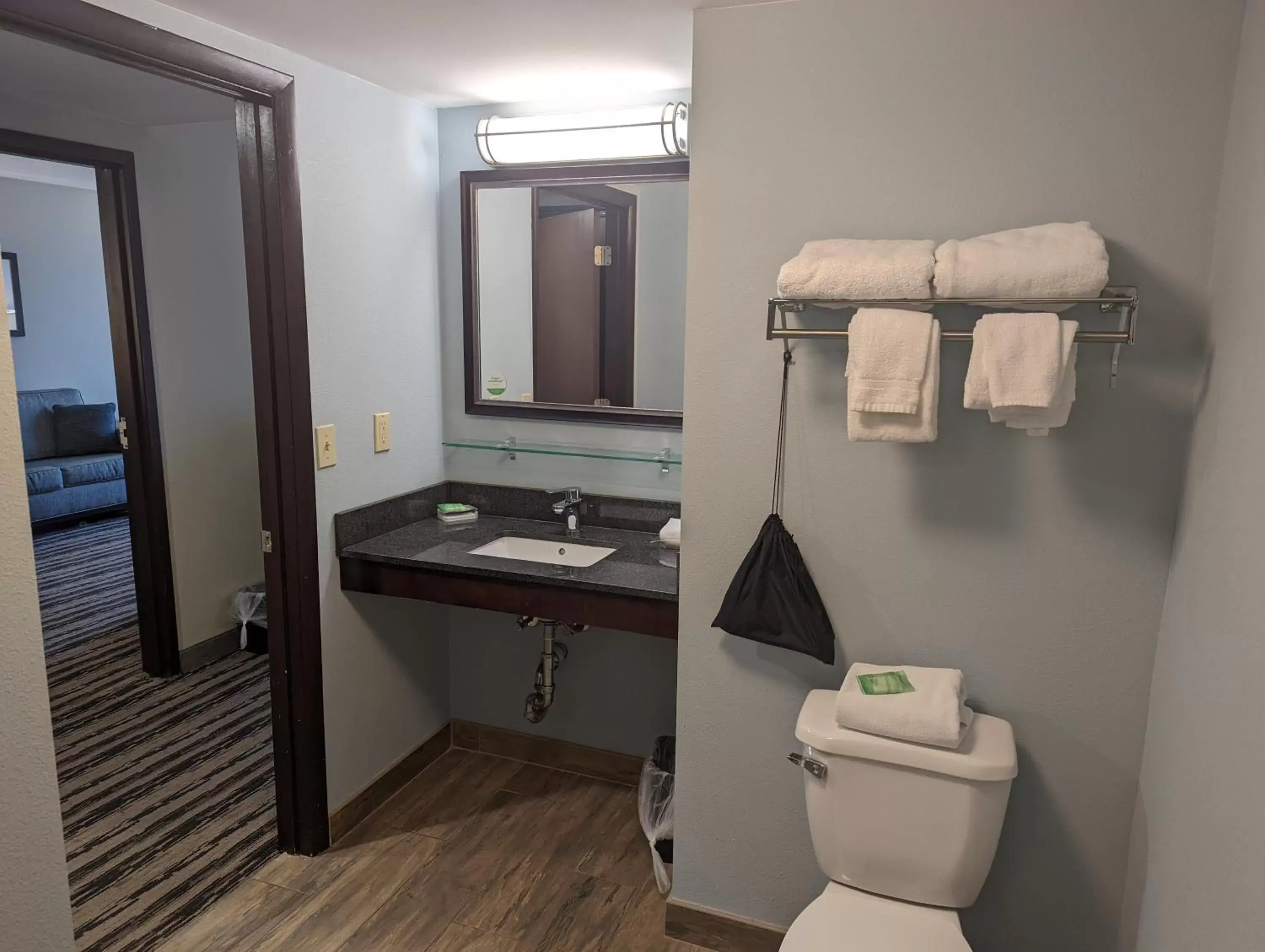 Bathroom in Holiday Inn Harrisburg East, an IHG Hotel