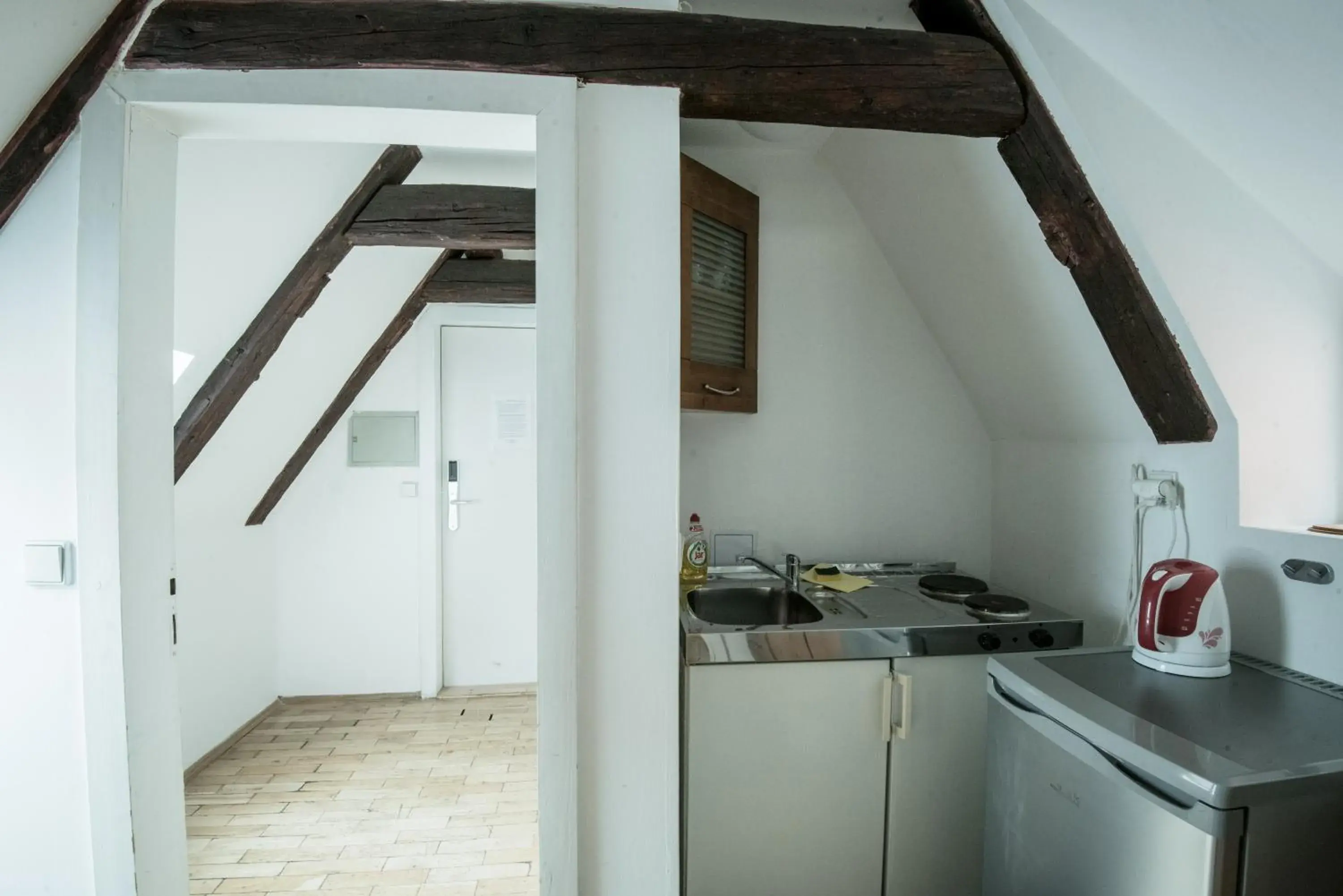 Kitchen/Kitchenette in Charles Bridge Hostel & Apartments