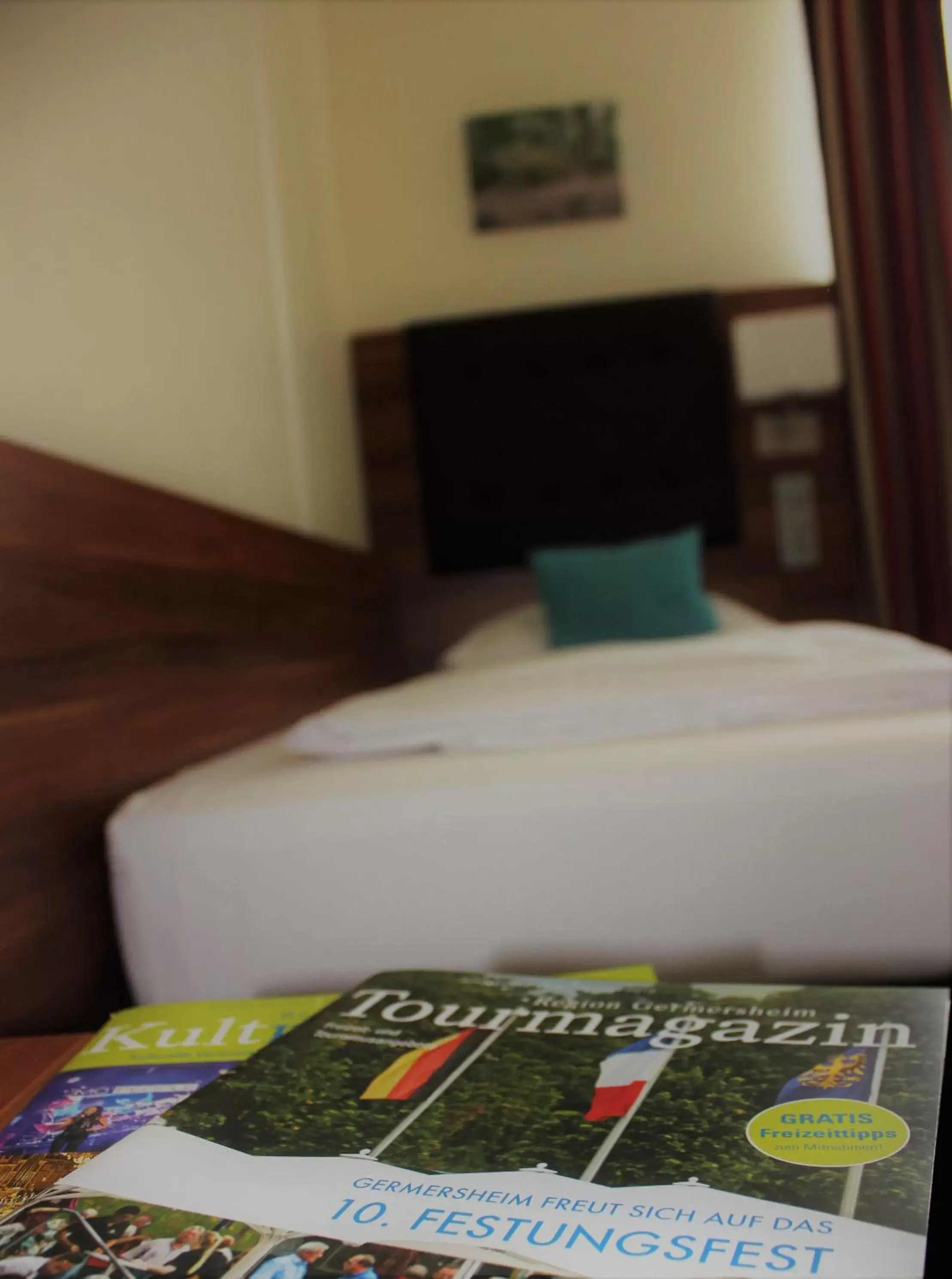 Standard Single Room in Hotel Germersheimer Hof Standard Single Room in Hotel Germersheimer Hof