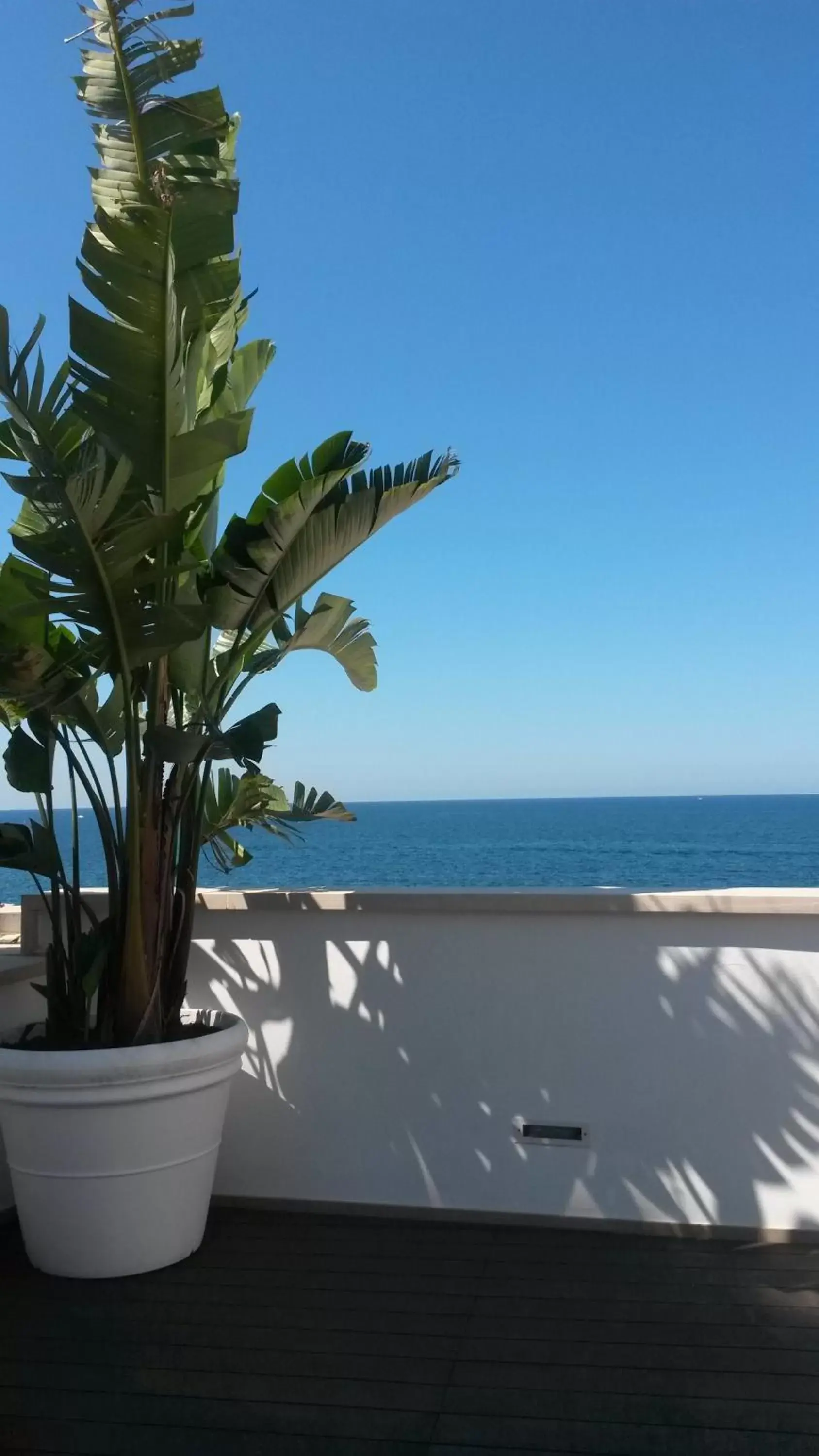 Solarium, Sea View in MoMa B&B Molfetta Mare