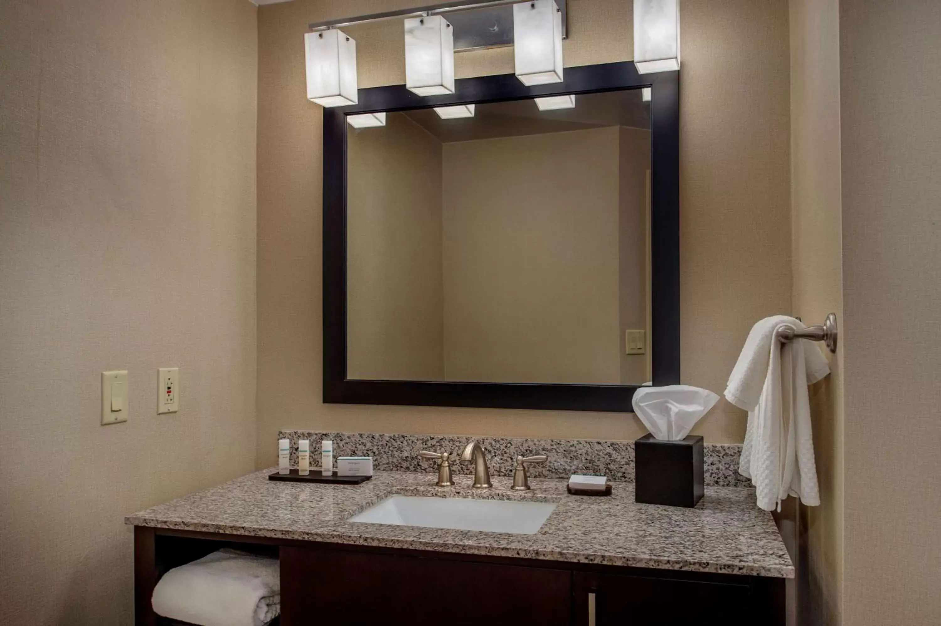 Bathroom in Embassy Suites by Hilton St Louis Airport